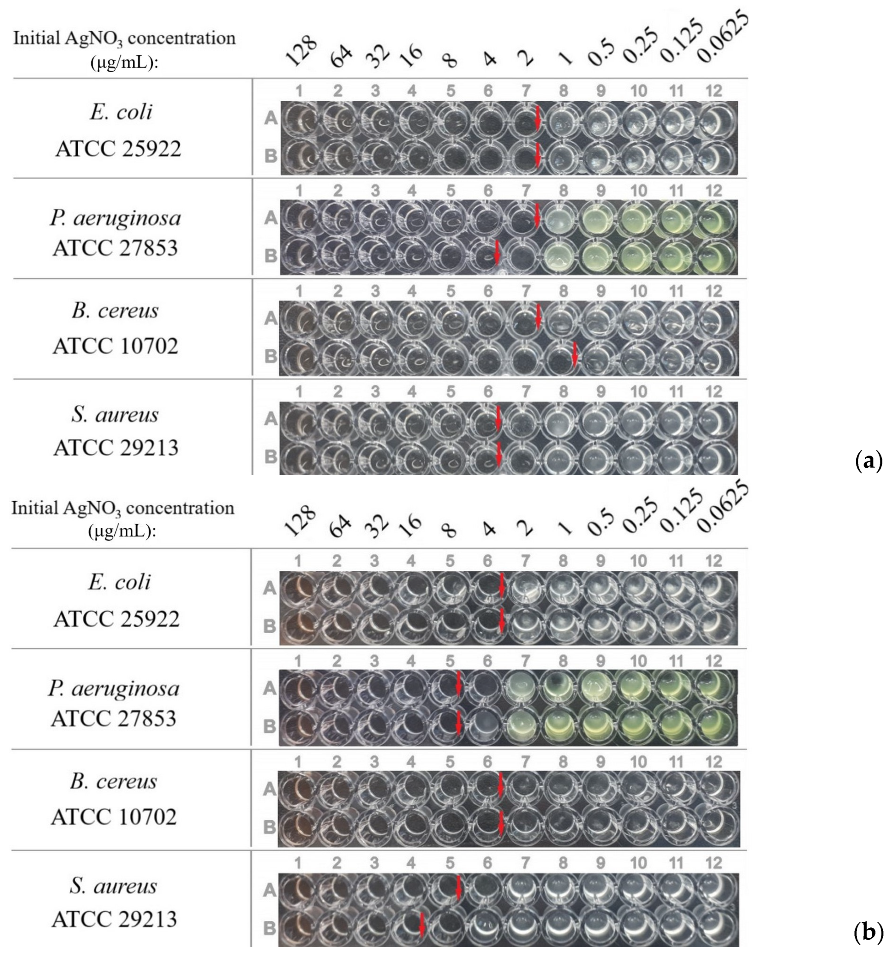 Pharmaceutics 15 02690 g009
