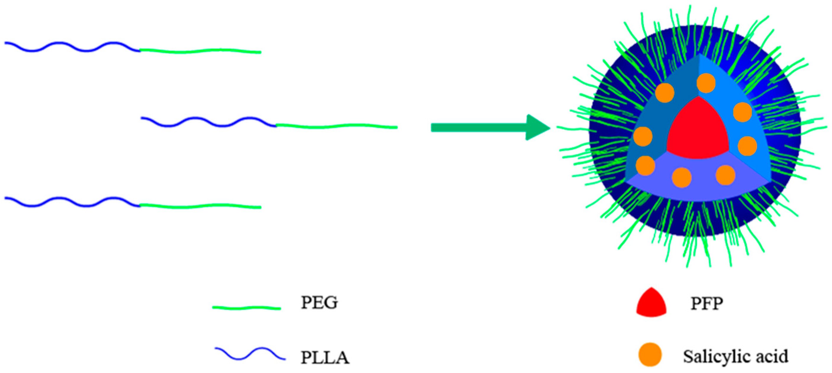 Pharmaceutics 15 02693 g001