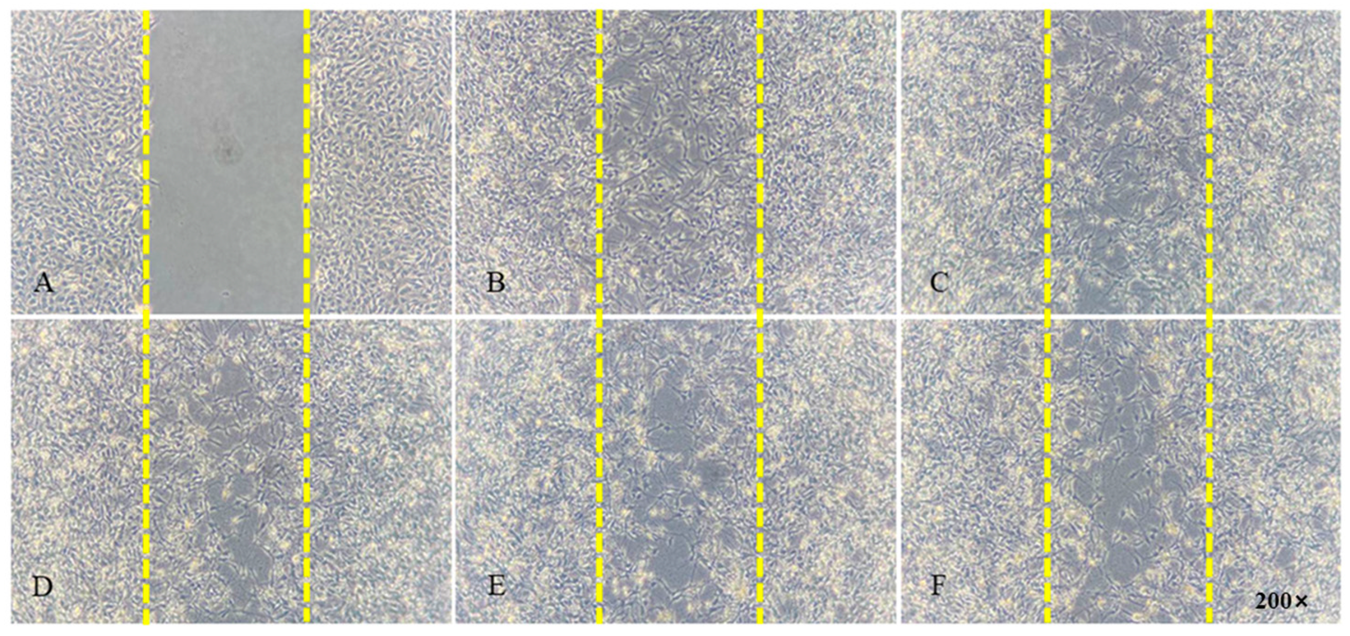 Pharmaceutics 15 02693 g009