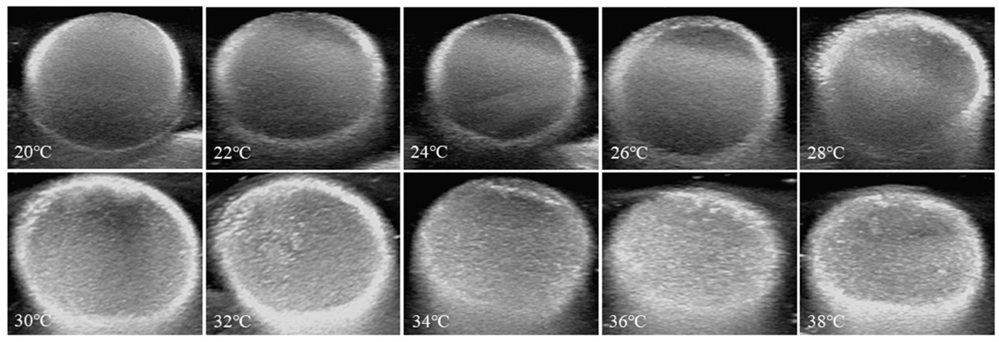 Pharmaceutics 15 02693 g012