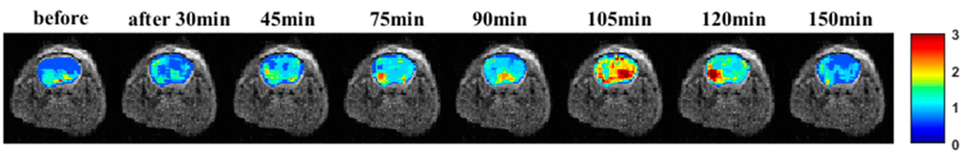 Pharmaceutics 15 02693 g018