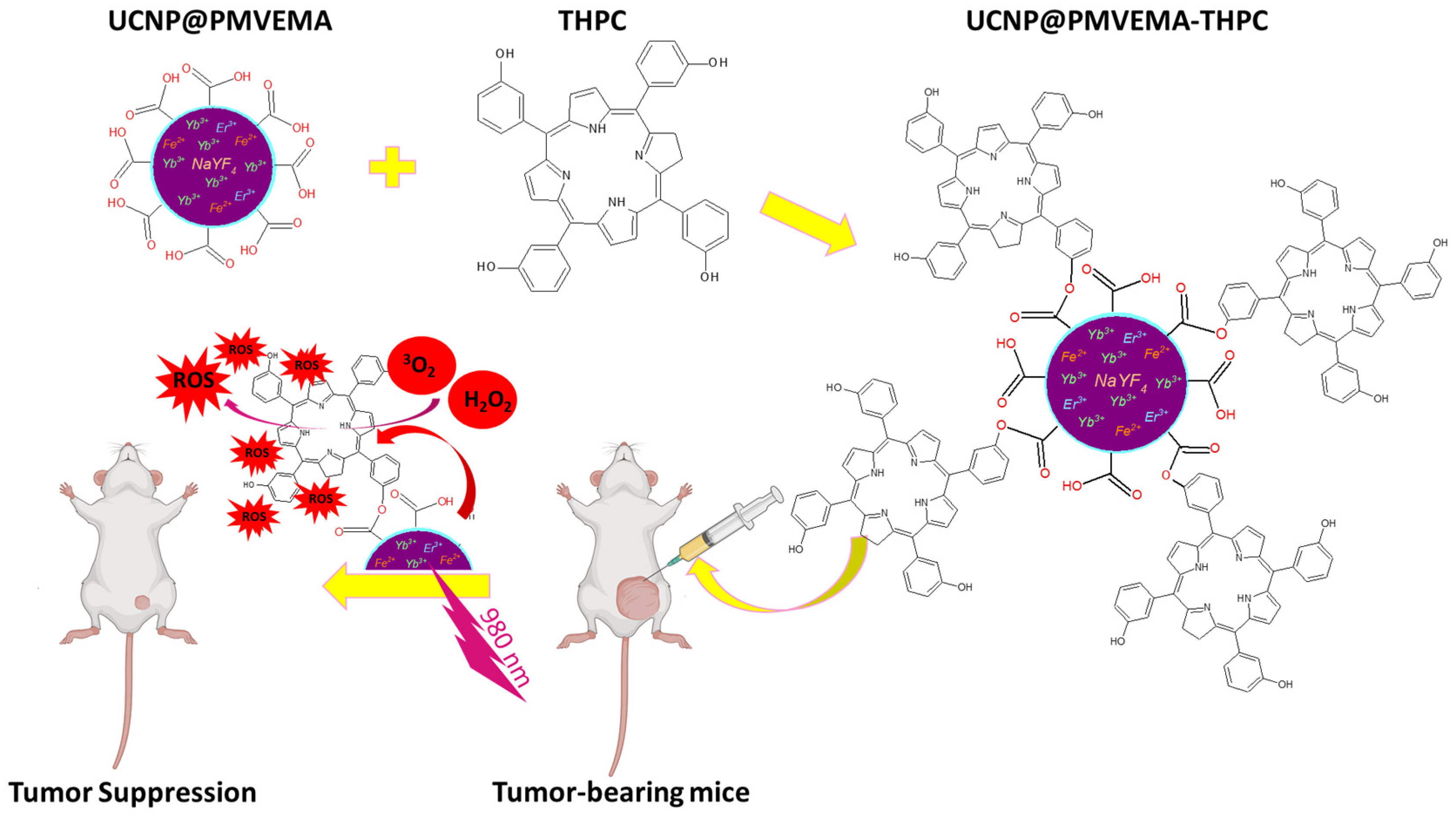 Pharmaceutics 15 02694 g001