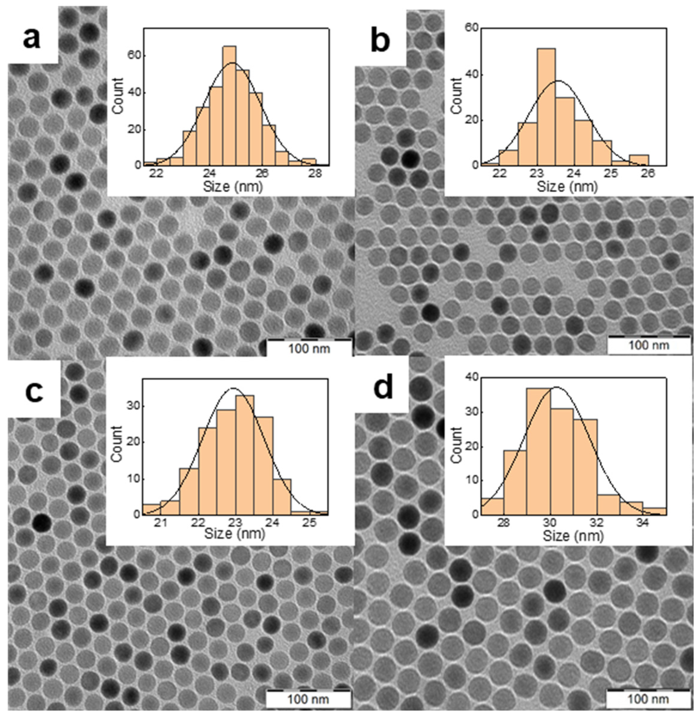 Pharmaceutics 15 02694 g002