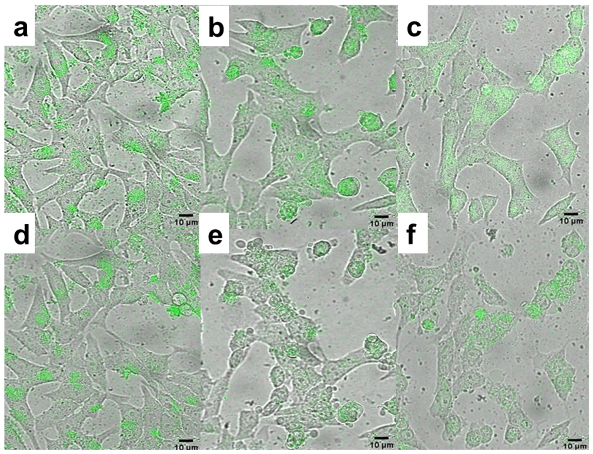 Pharmaceutics 15 02694 g007