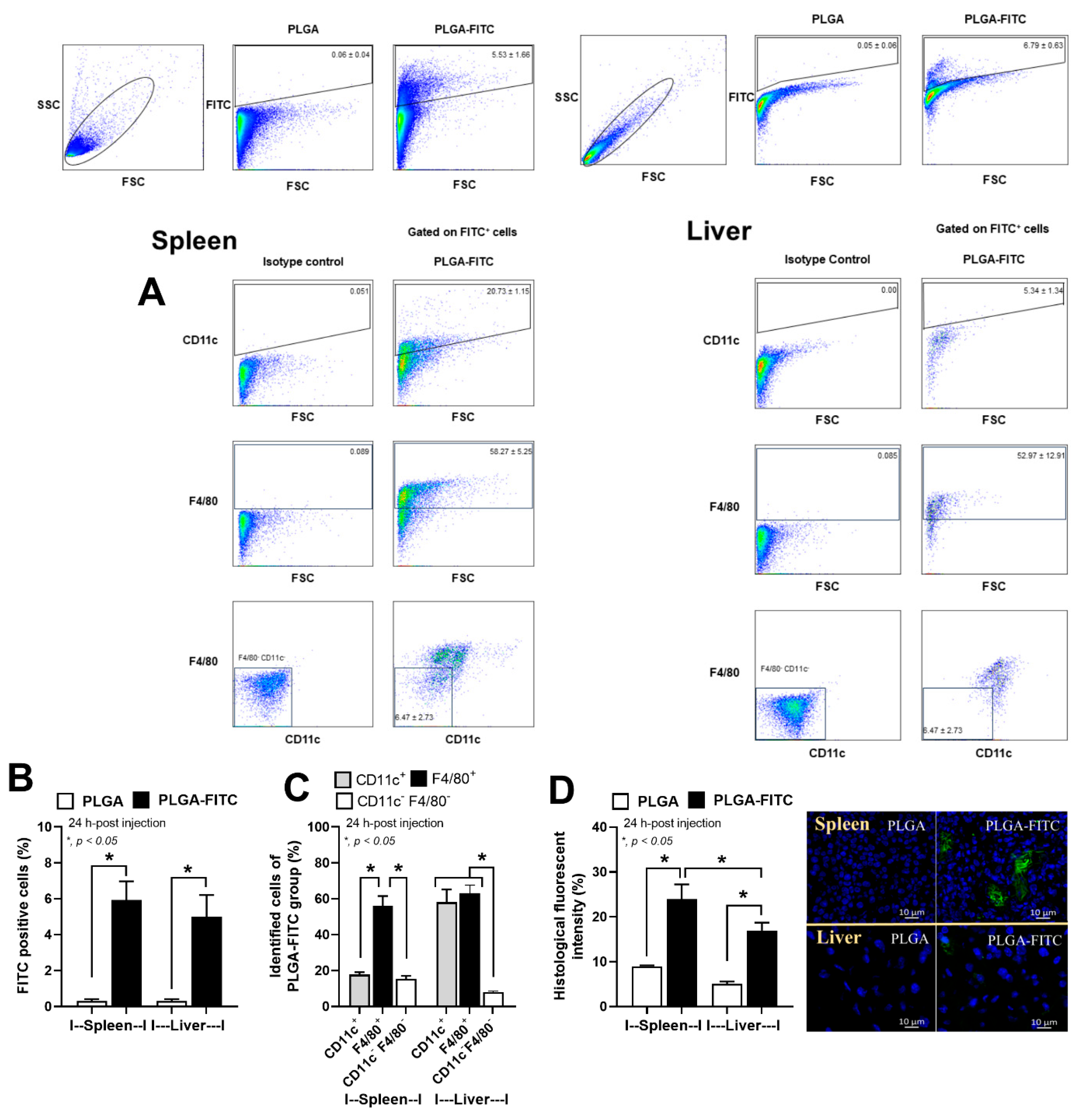 Pharmaceutics 15 02695 g006