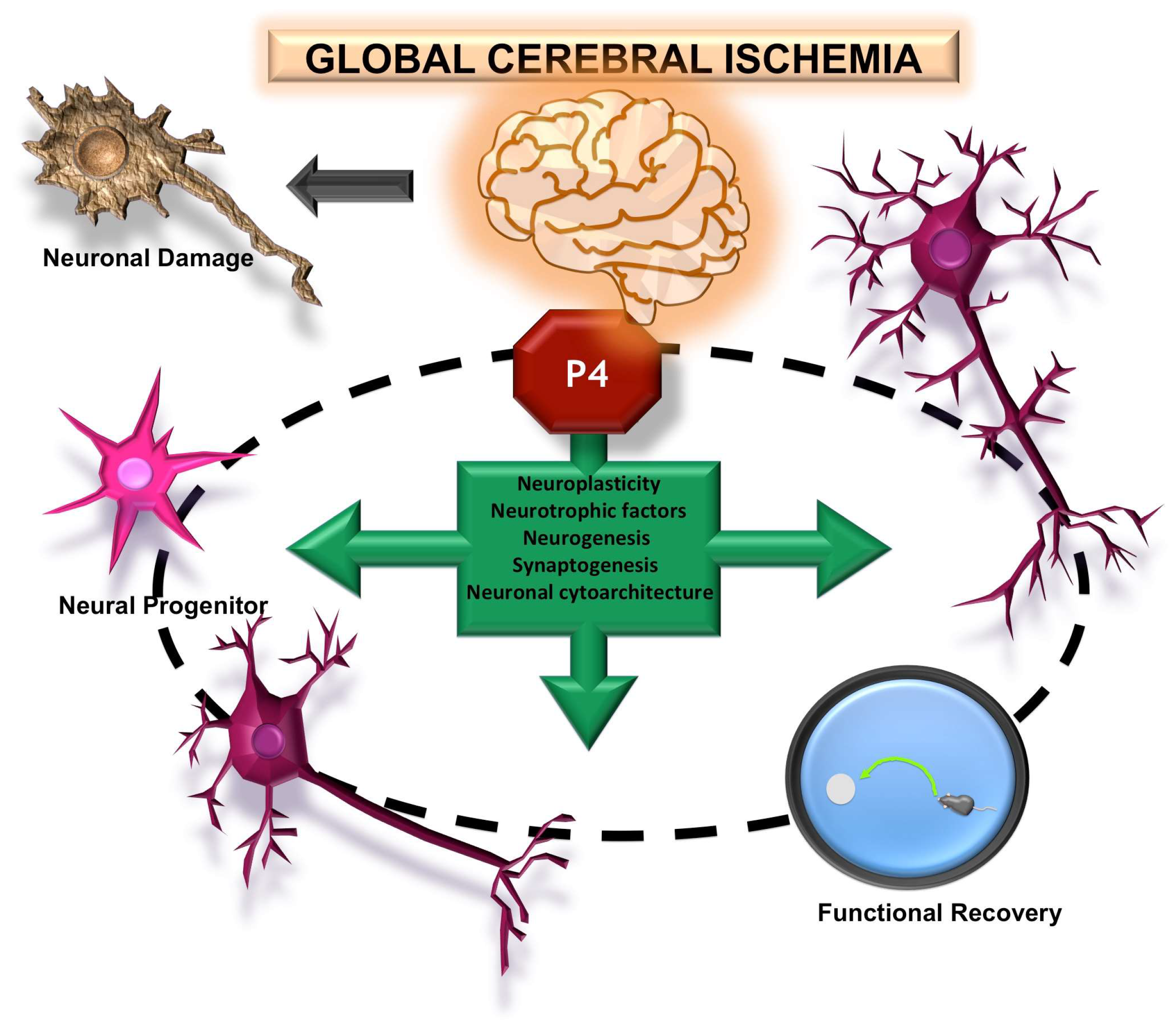 Pharmaceutics 15 02697 g003
