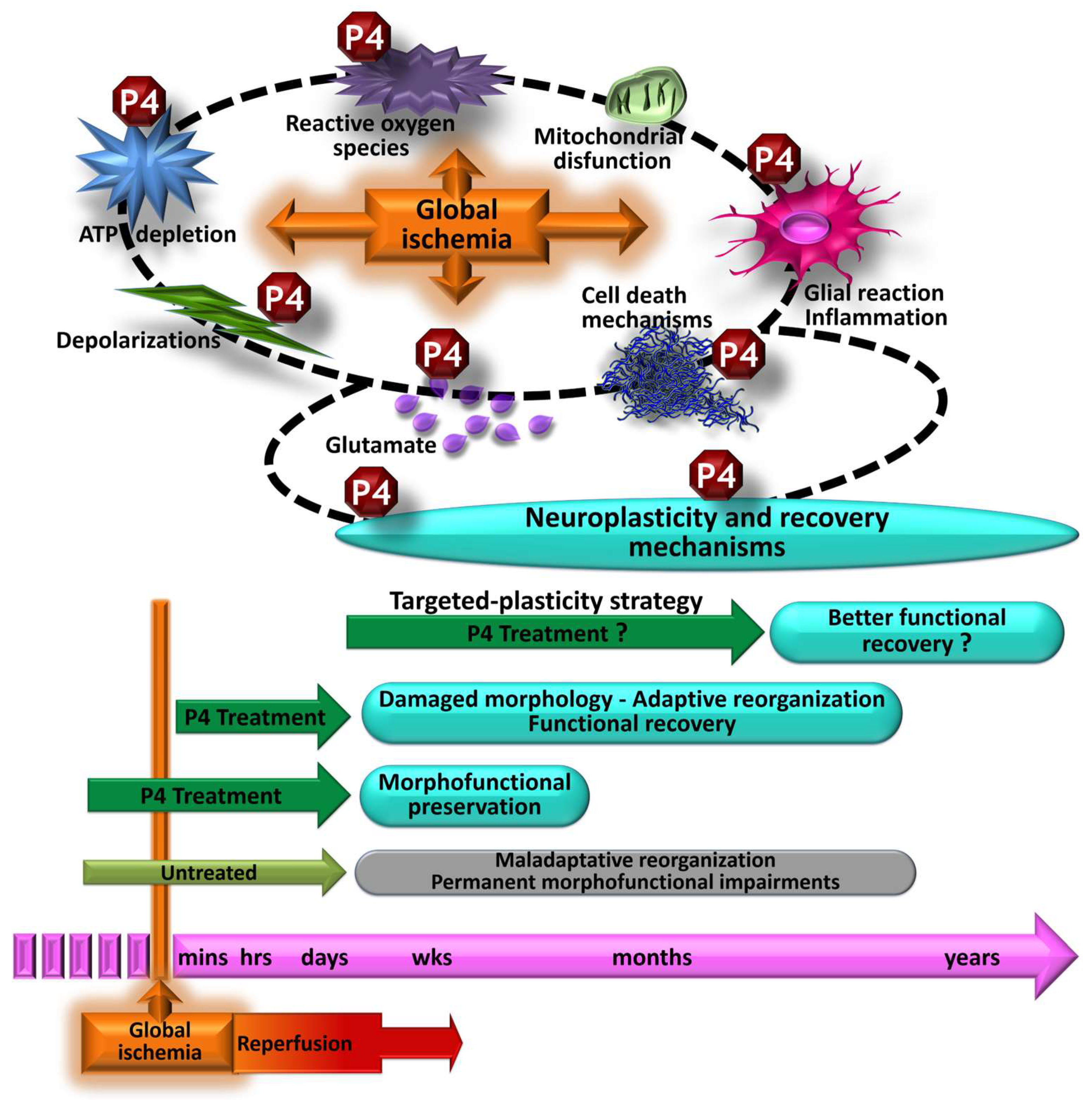 Pharmaceutics 15 02697 g004