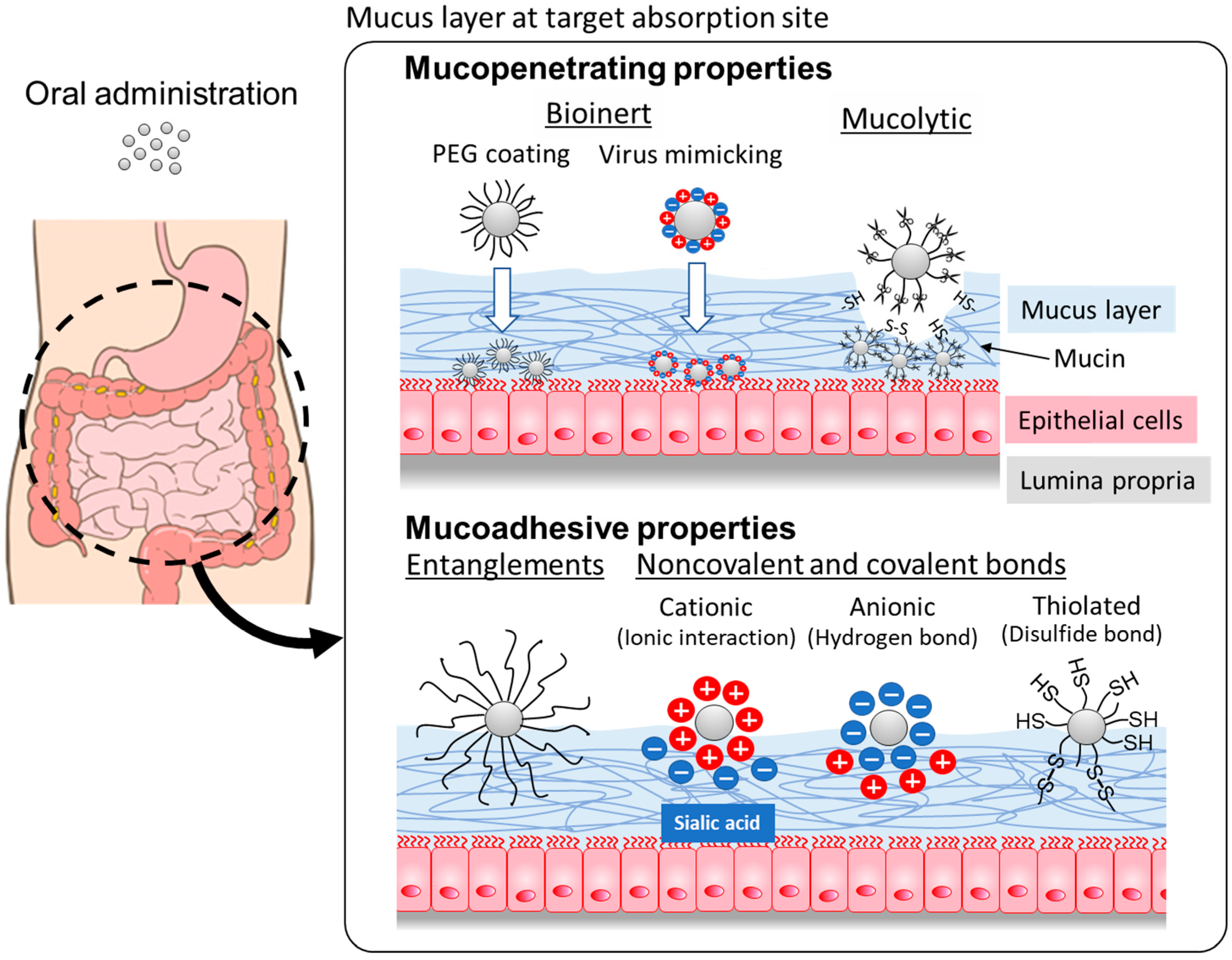 Pharmaceutics 15 02708 g001