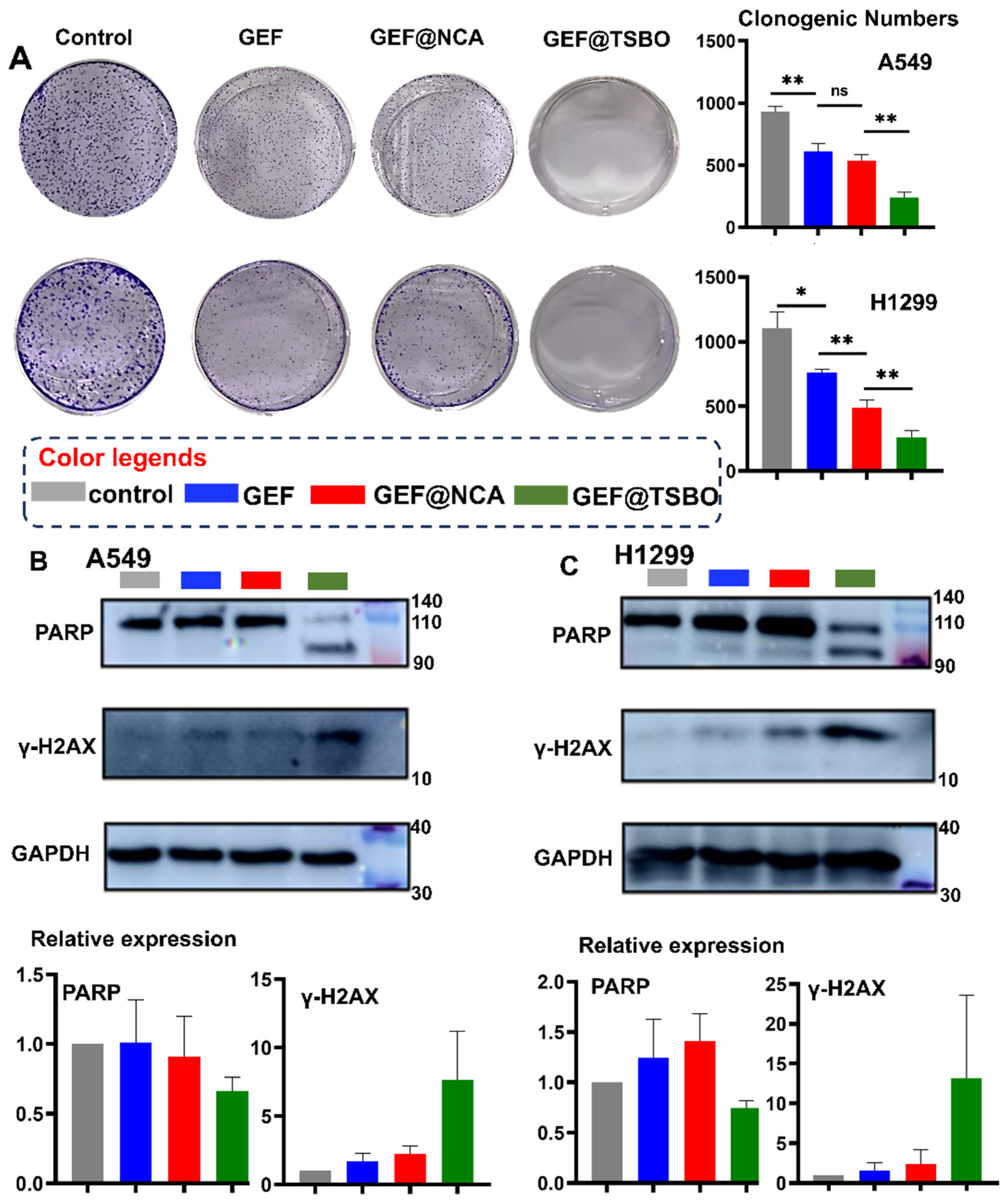 Pharmaceutics 15 02713 g006