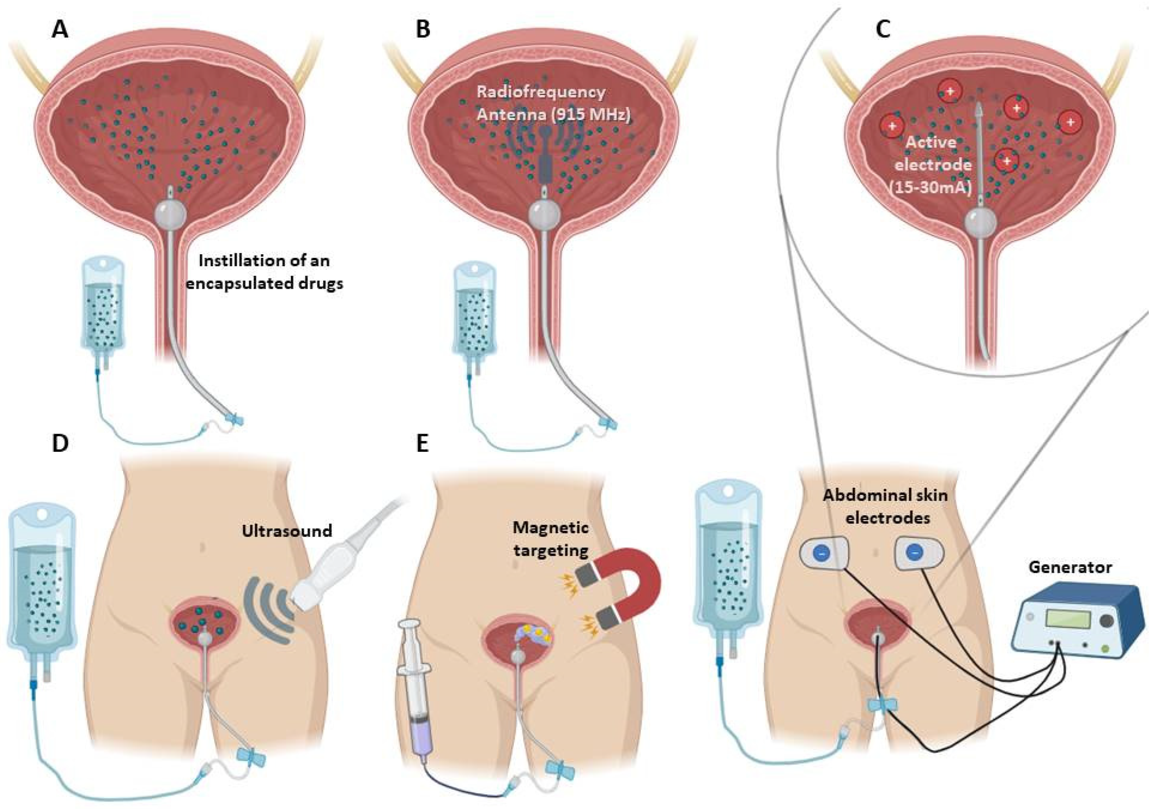 Pharmaceutics 15 02724 g002