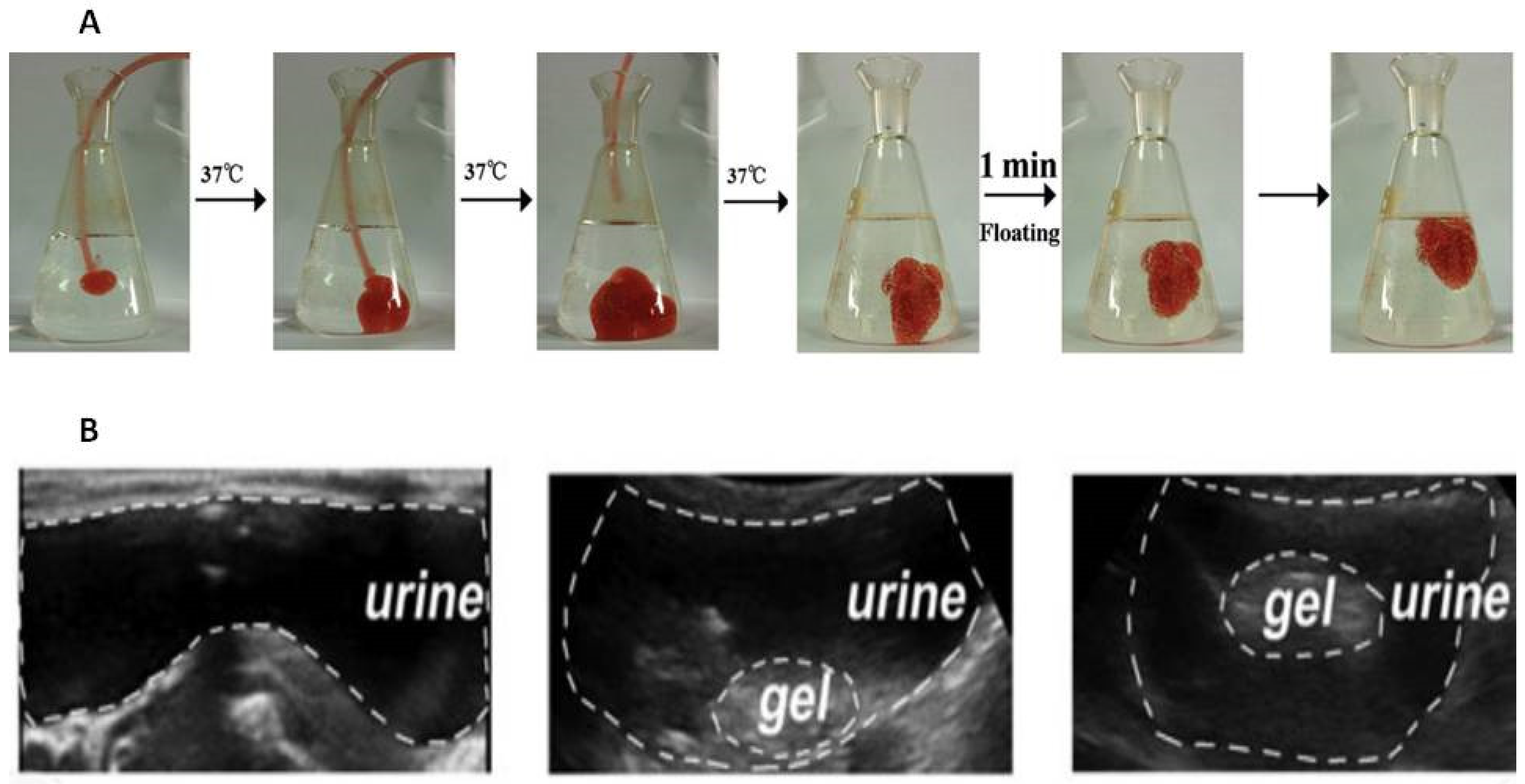 Pharmaceutics 15 02724 g003