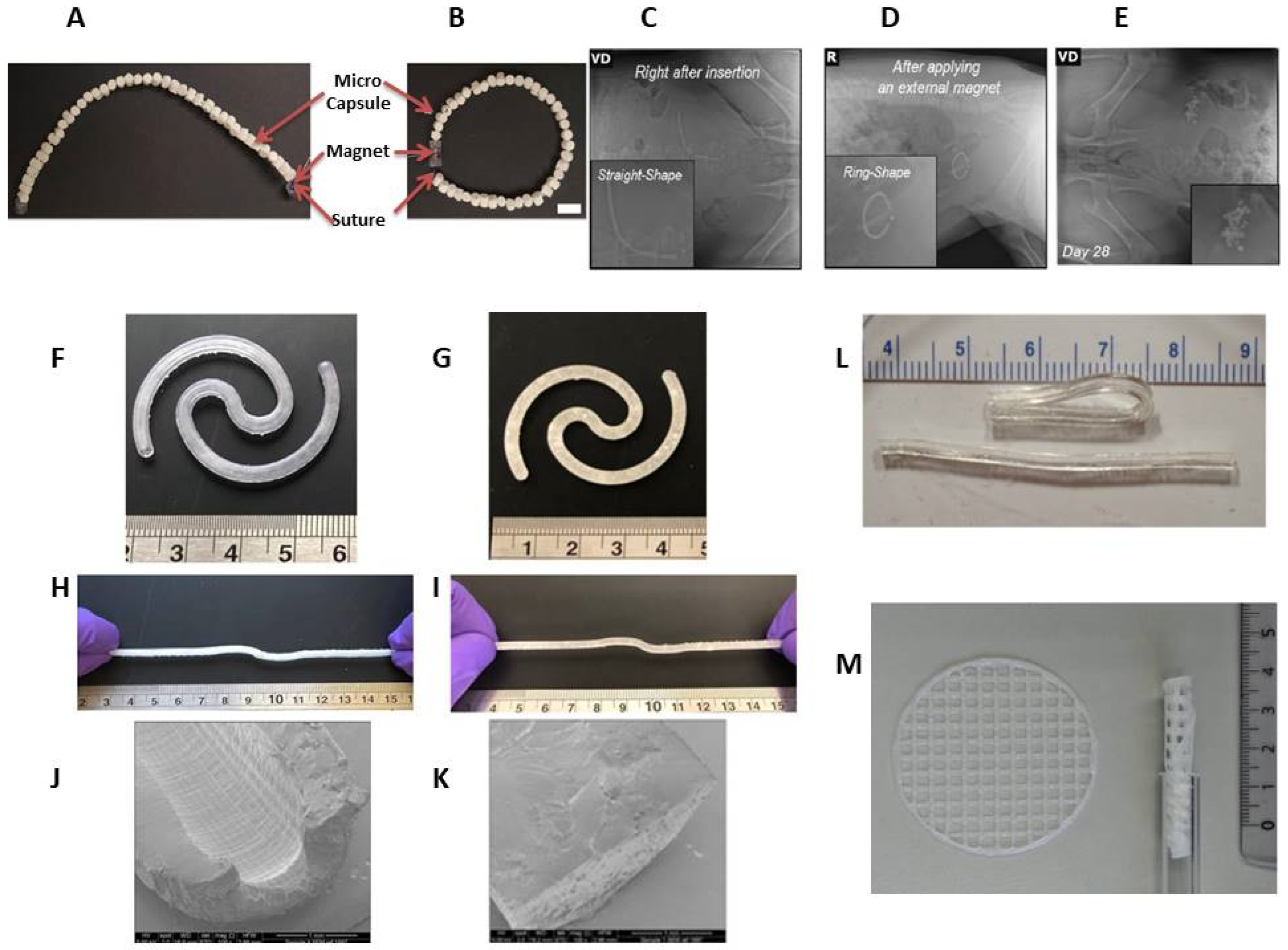 Pharmaceutics 15 02724 g004