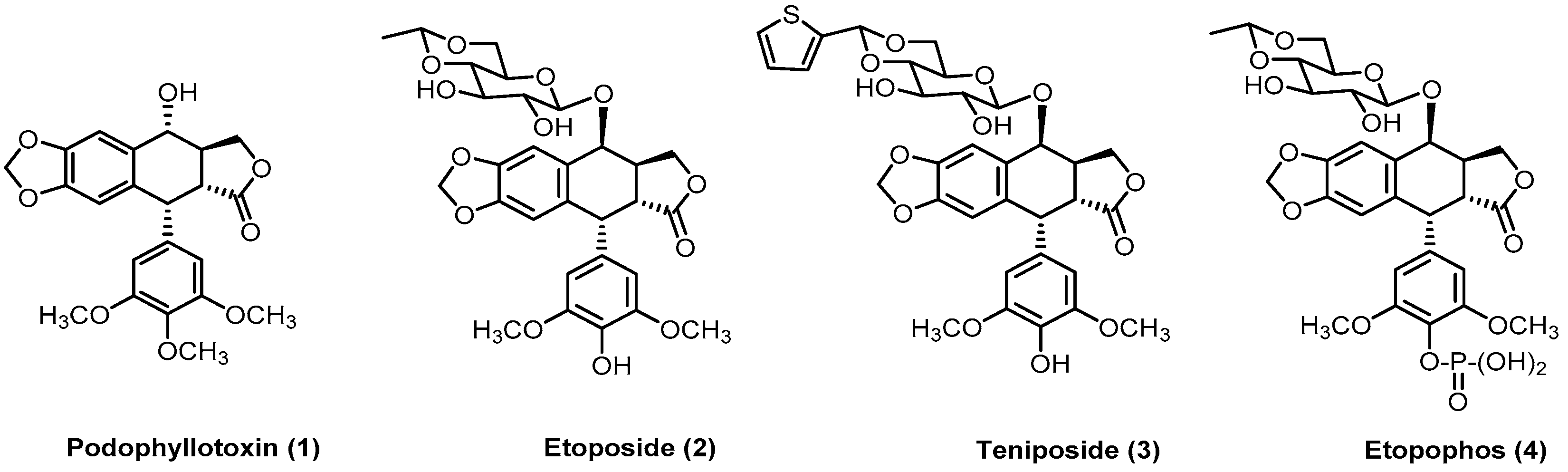 Pharmaceutics 15 02728 g001 Pharmaceutics 15 02728 g001