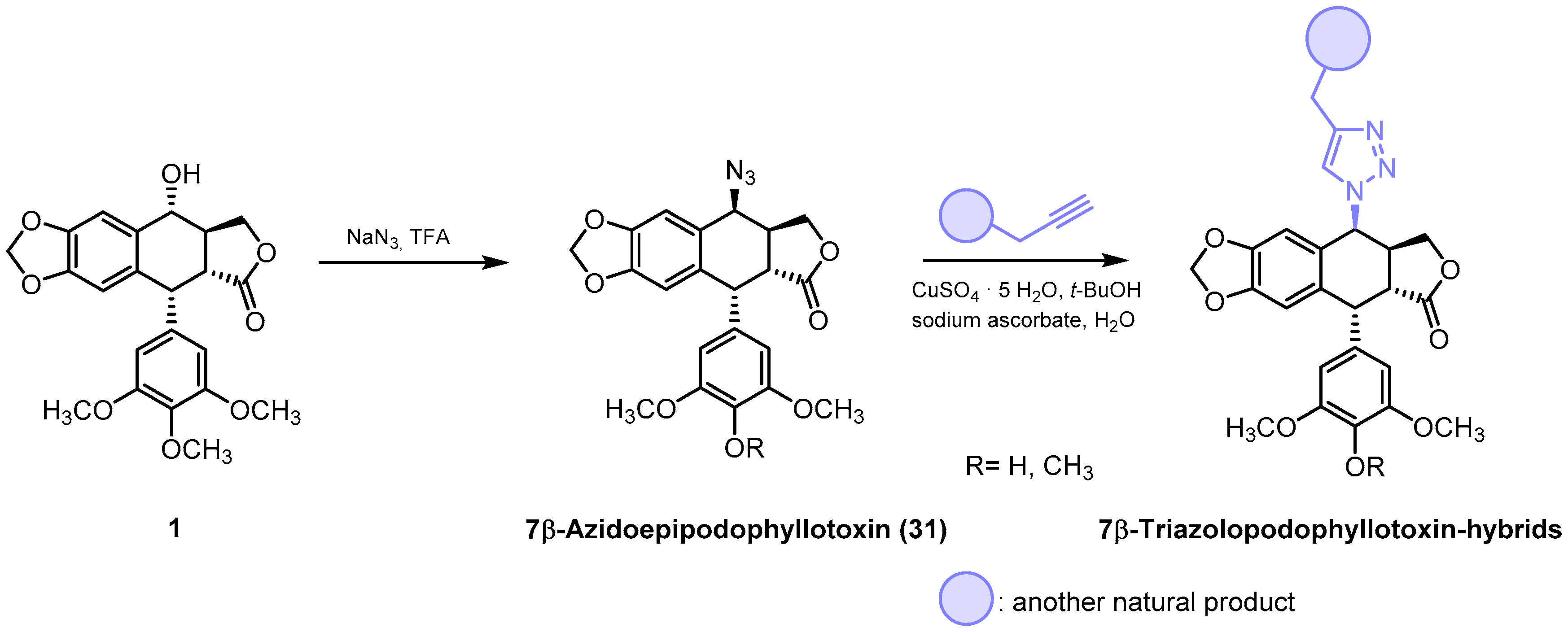Pharmaceutics 15 02728 sch006 Pharmaceutics 15 02728 sch006