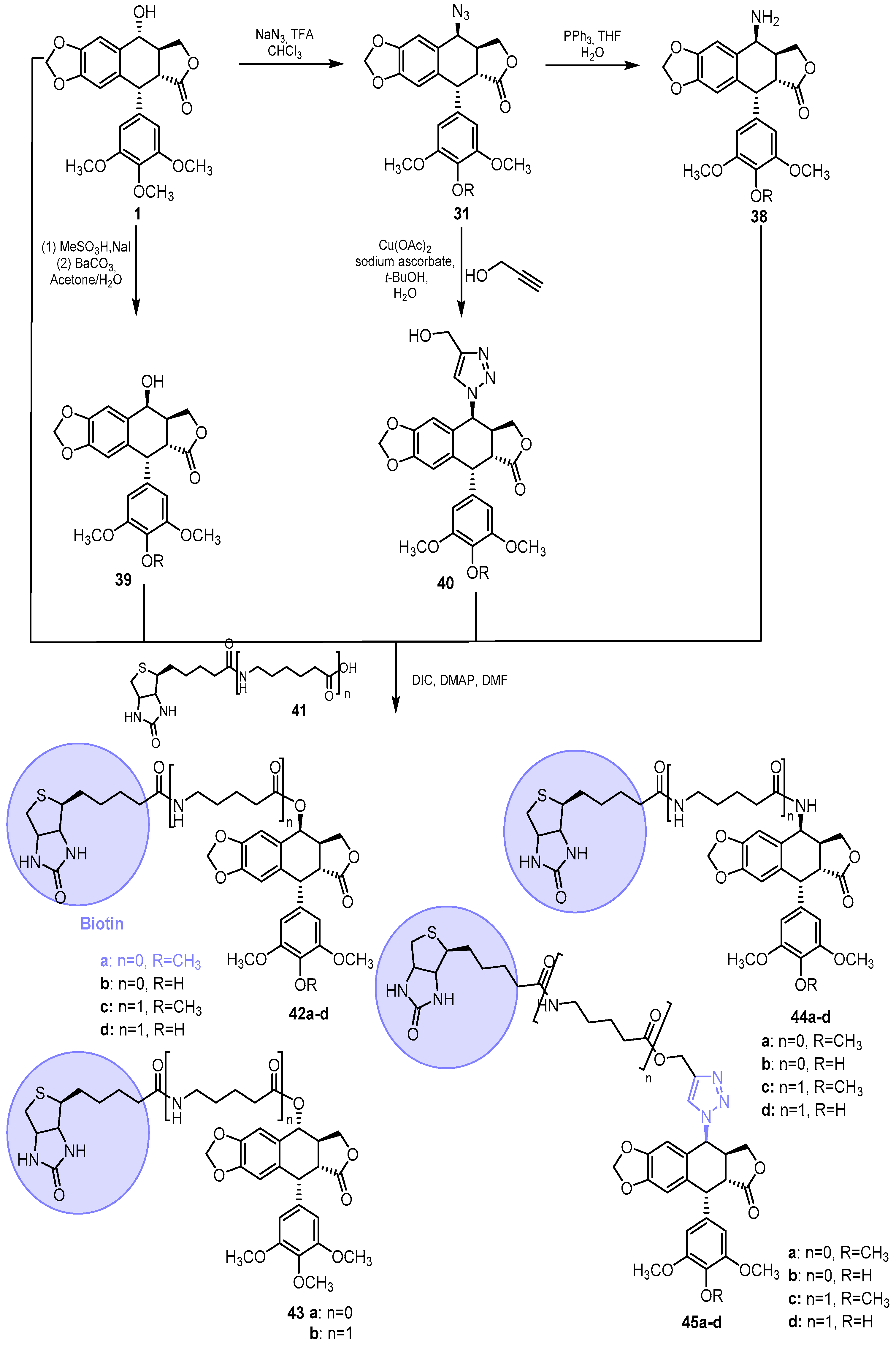Pharmaceutics 15 02728 sch007 Pharmaceutics 15 02728 sch007