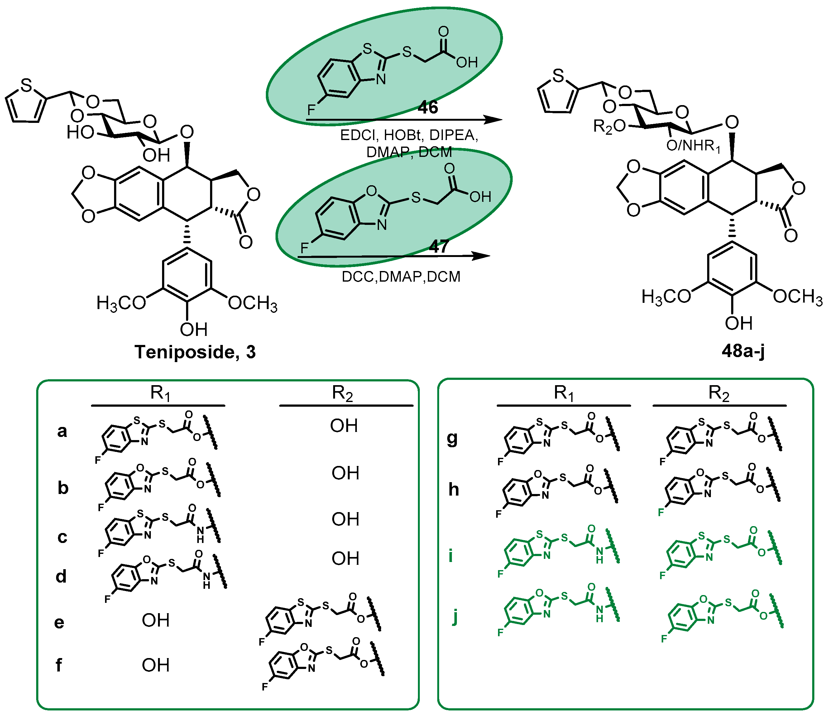 Pharmaceutics 15 02728 sch008 Pharmaceutics 15 02728 sch008