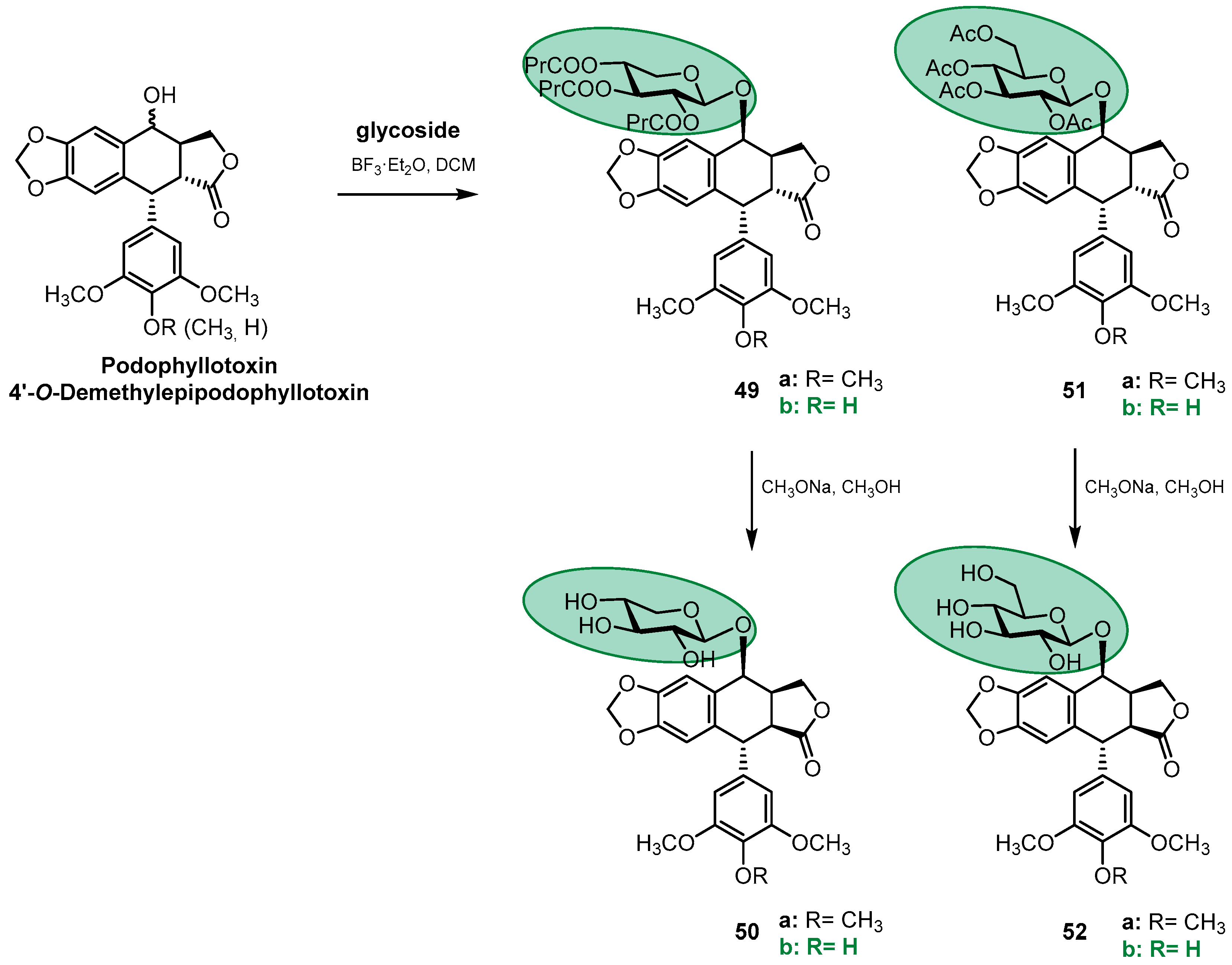 Pharmaceutics 15 02728 sch009 Pharmaceutics 15 02728 sch009