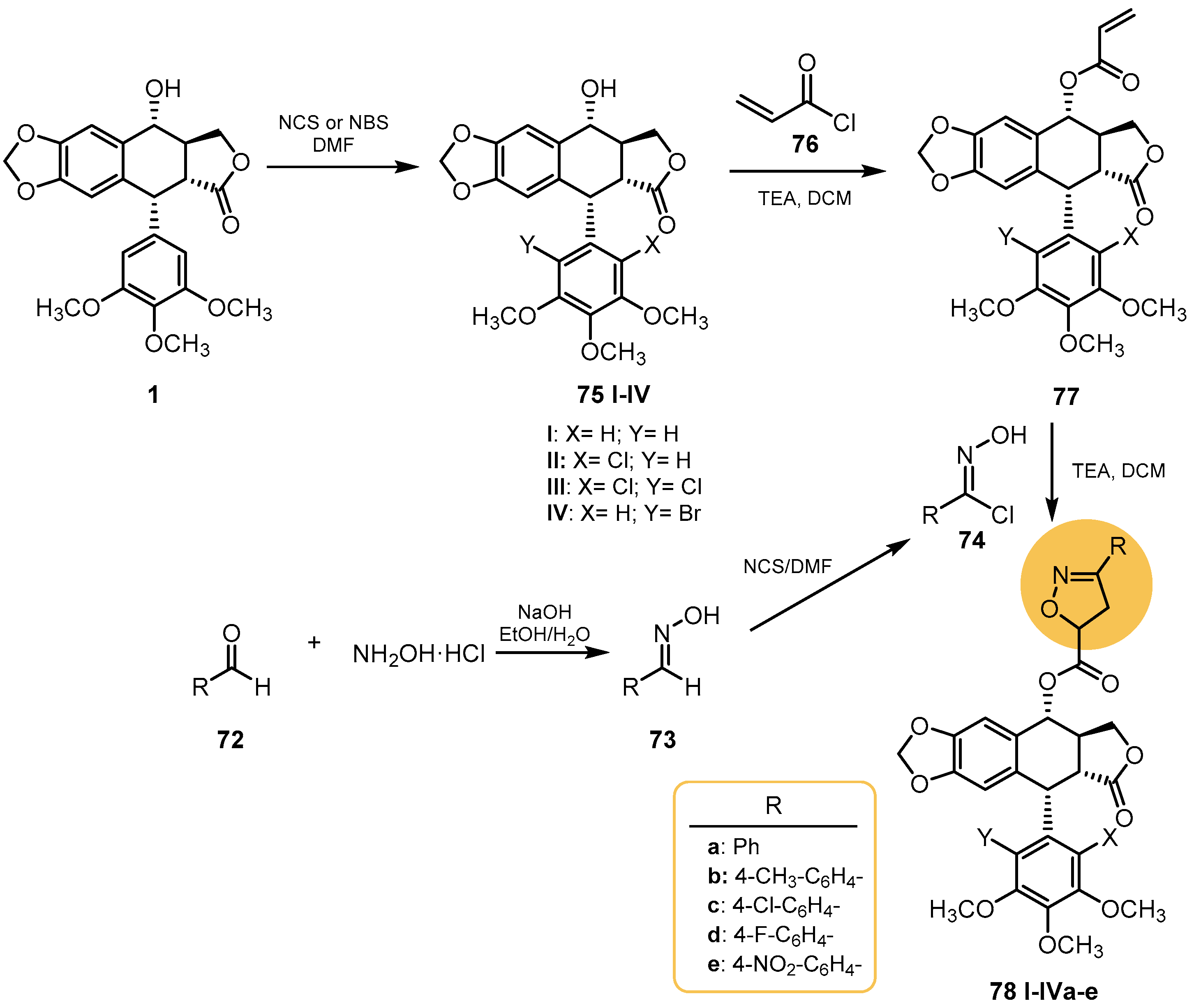 Pharmaceutics 15 02728 sch015 Pharmaceutics 15 02728 sch015