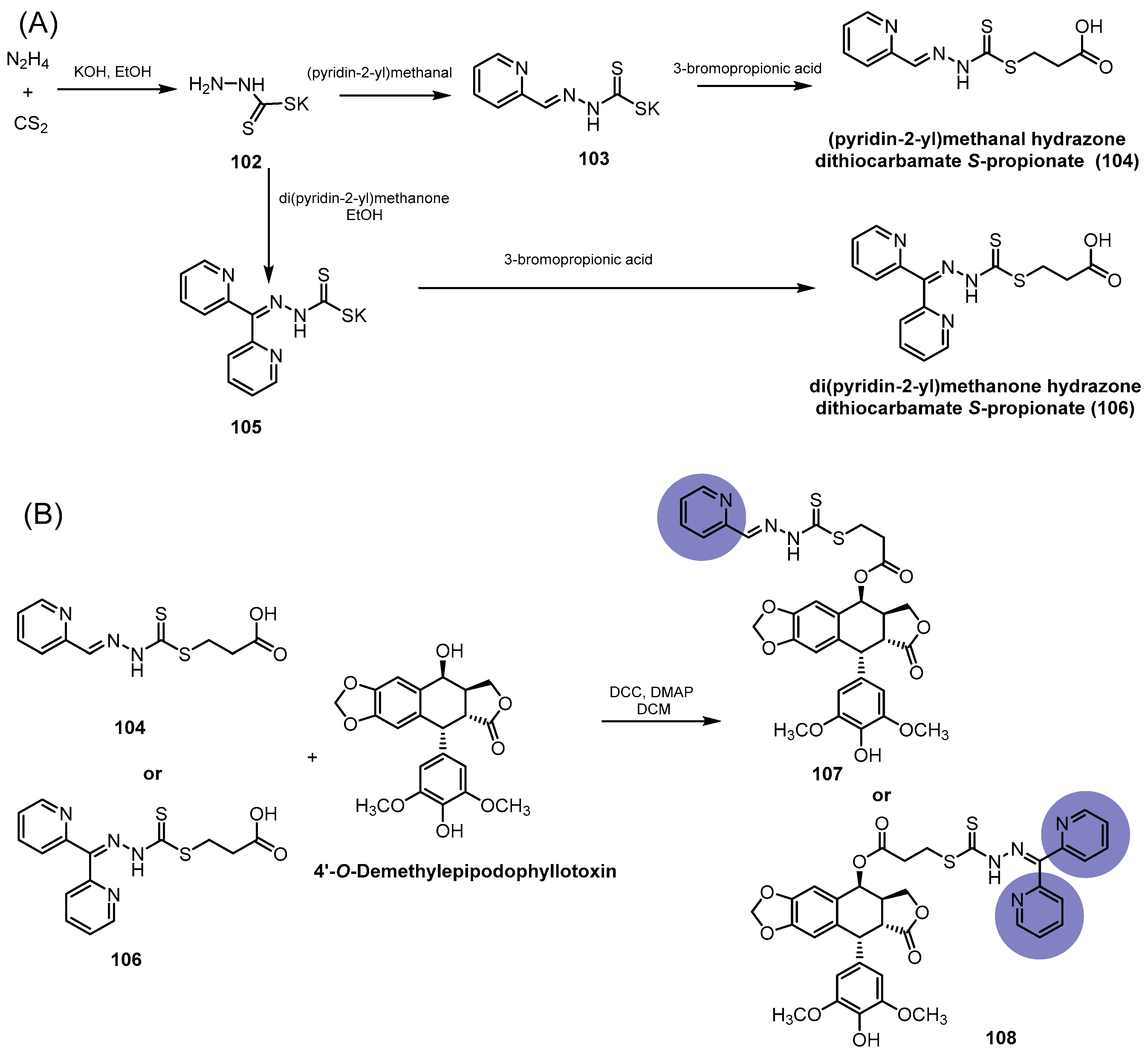 Pharmaceutics 15 02728 sch024 Pharmaceutics 15 02728 sch024