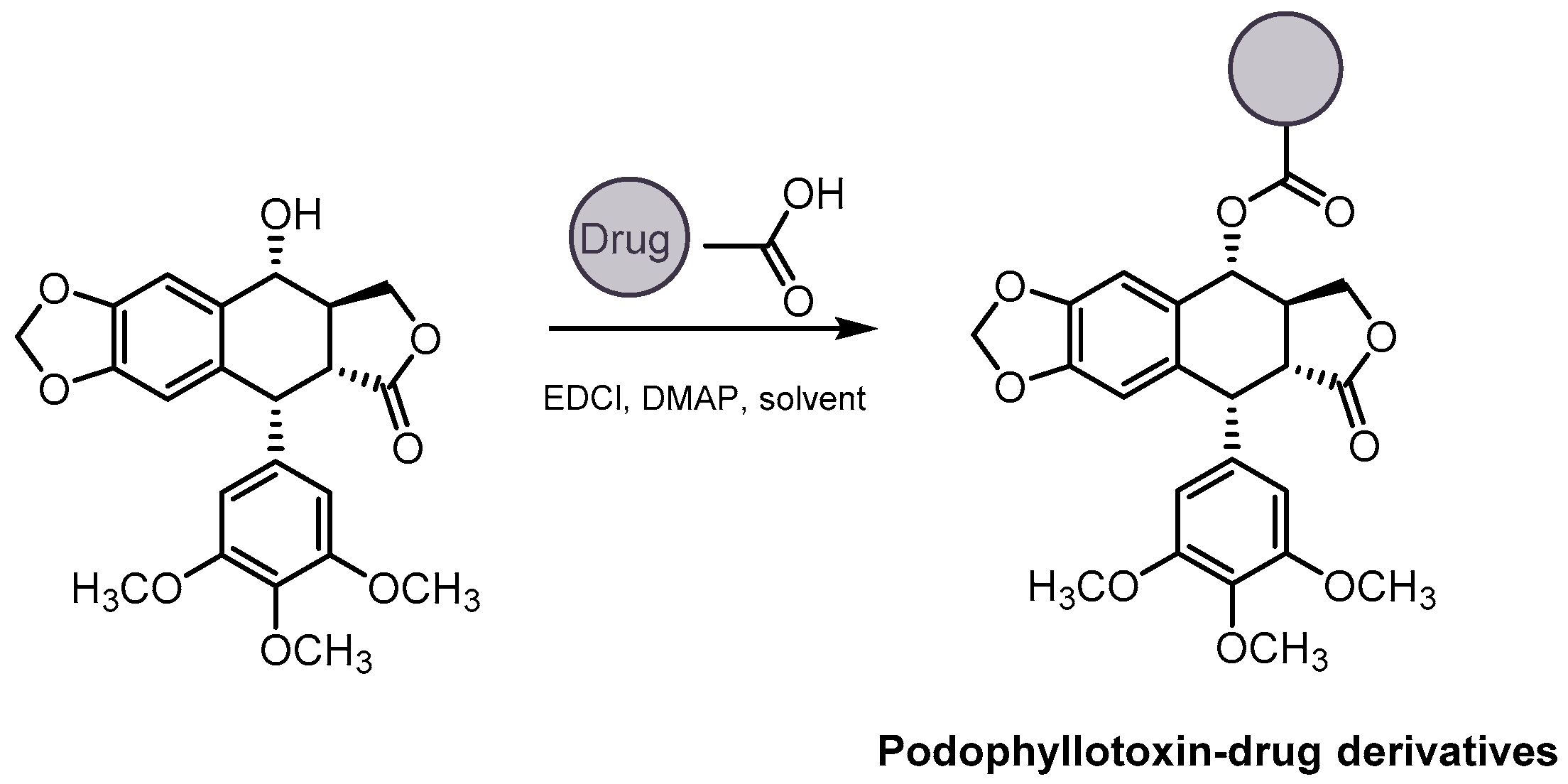 Pharmaceutics 15 02728 sch031 Pharmaceutics 15 02728 sch031