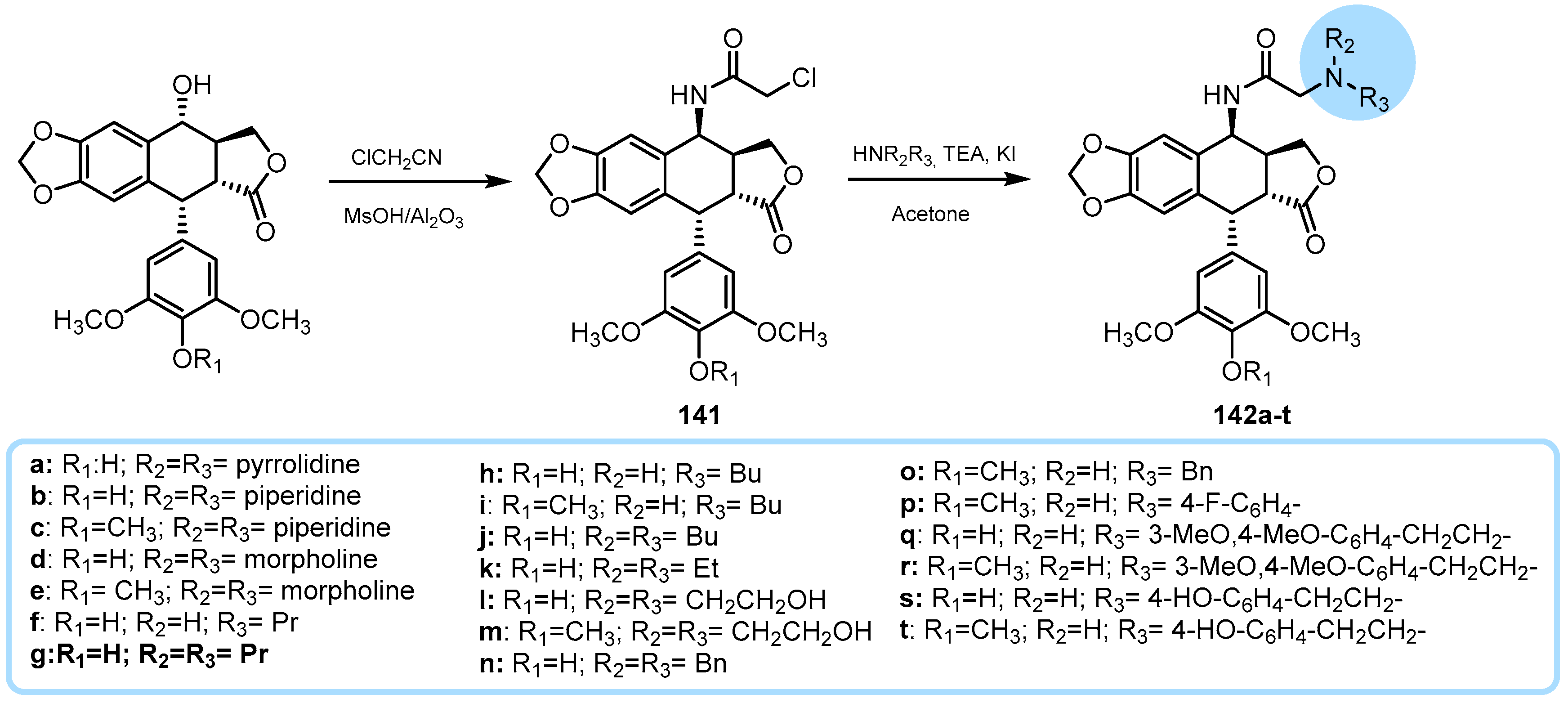 Pharmaceutics 15 02728 sch037 Pharmaceutics 15 02728 sch037