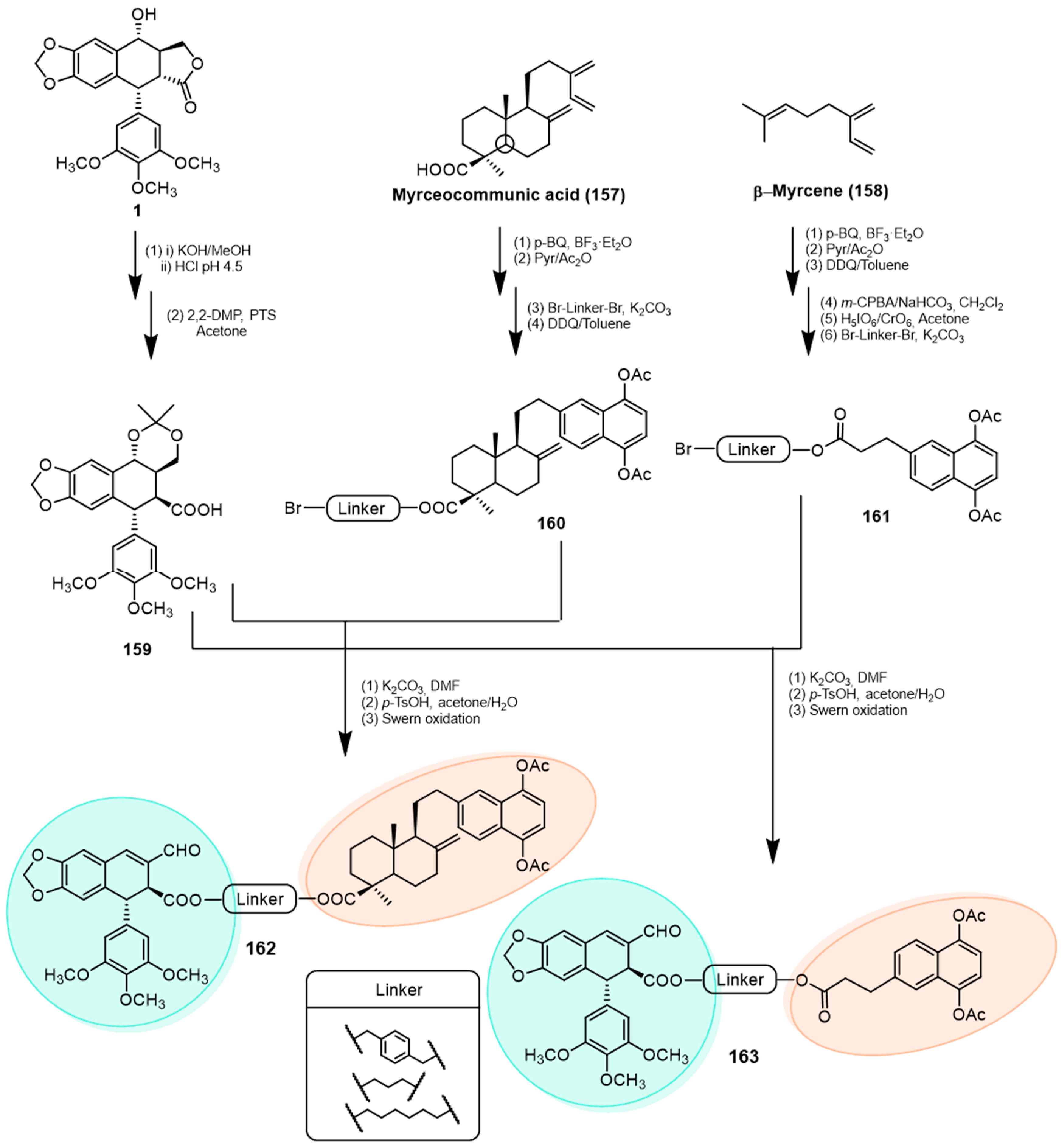 Pharmaceutics 15 02728 sch045 Pharmaceutics 15 02728 sch045