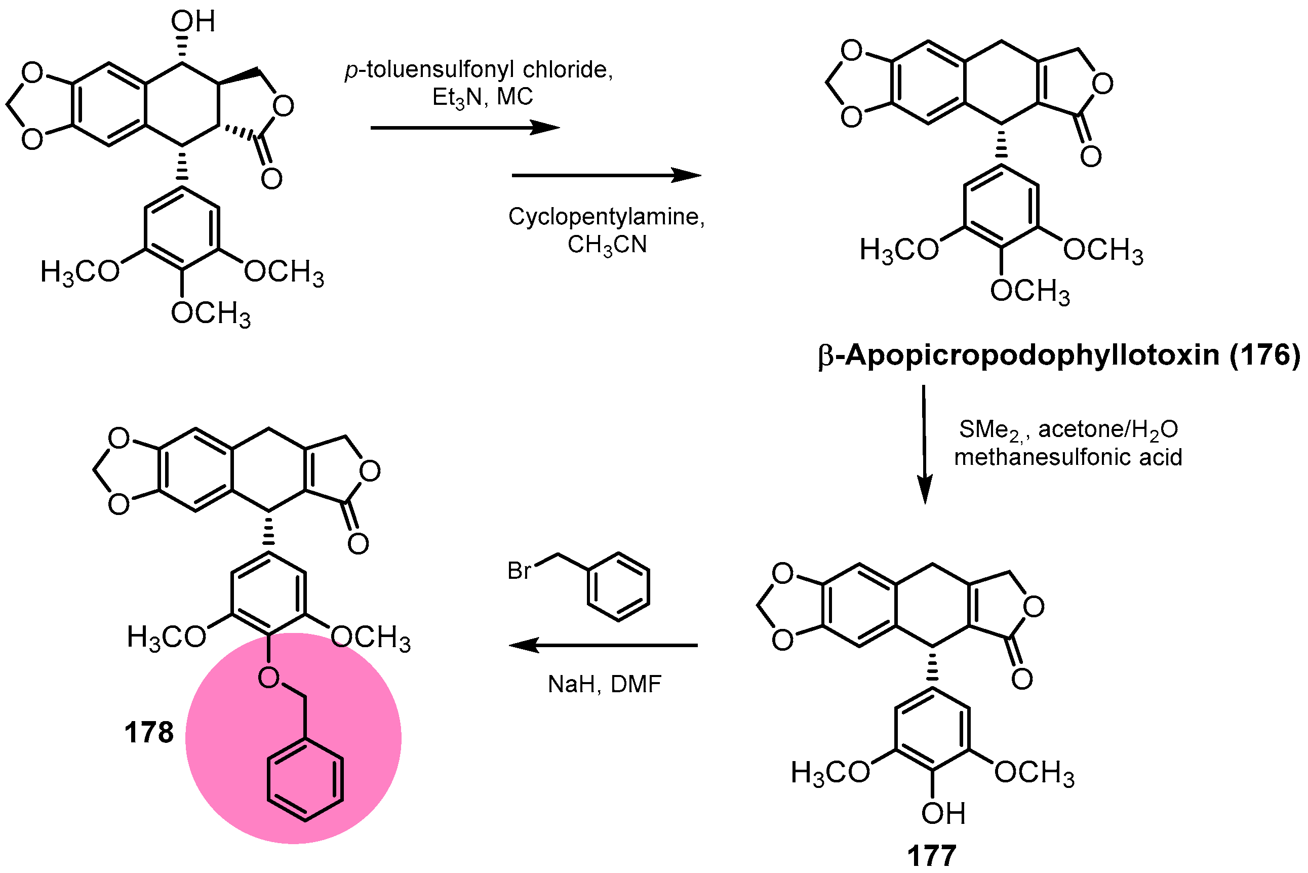 Pharmaceutics 15 02728 sch050 Pharmaceutics 15 02728 sch050