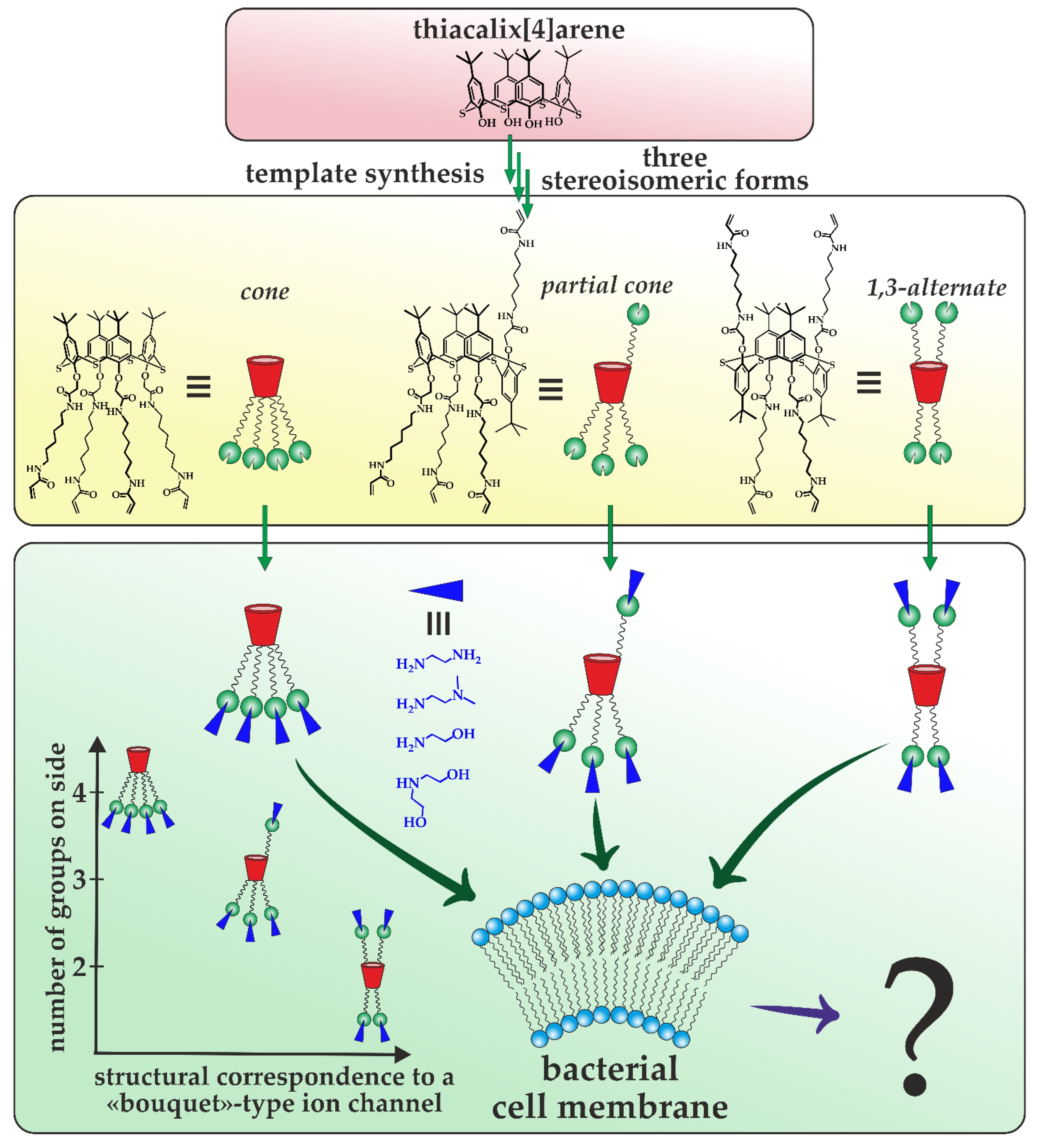 Pharmaceutics 15 02731 g001