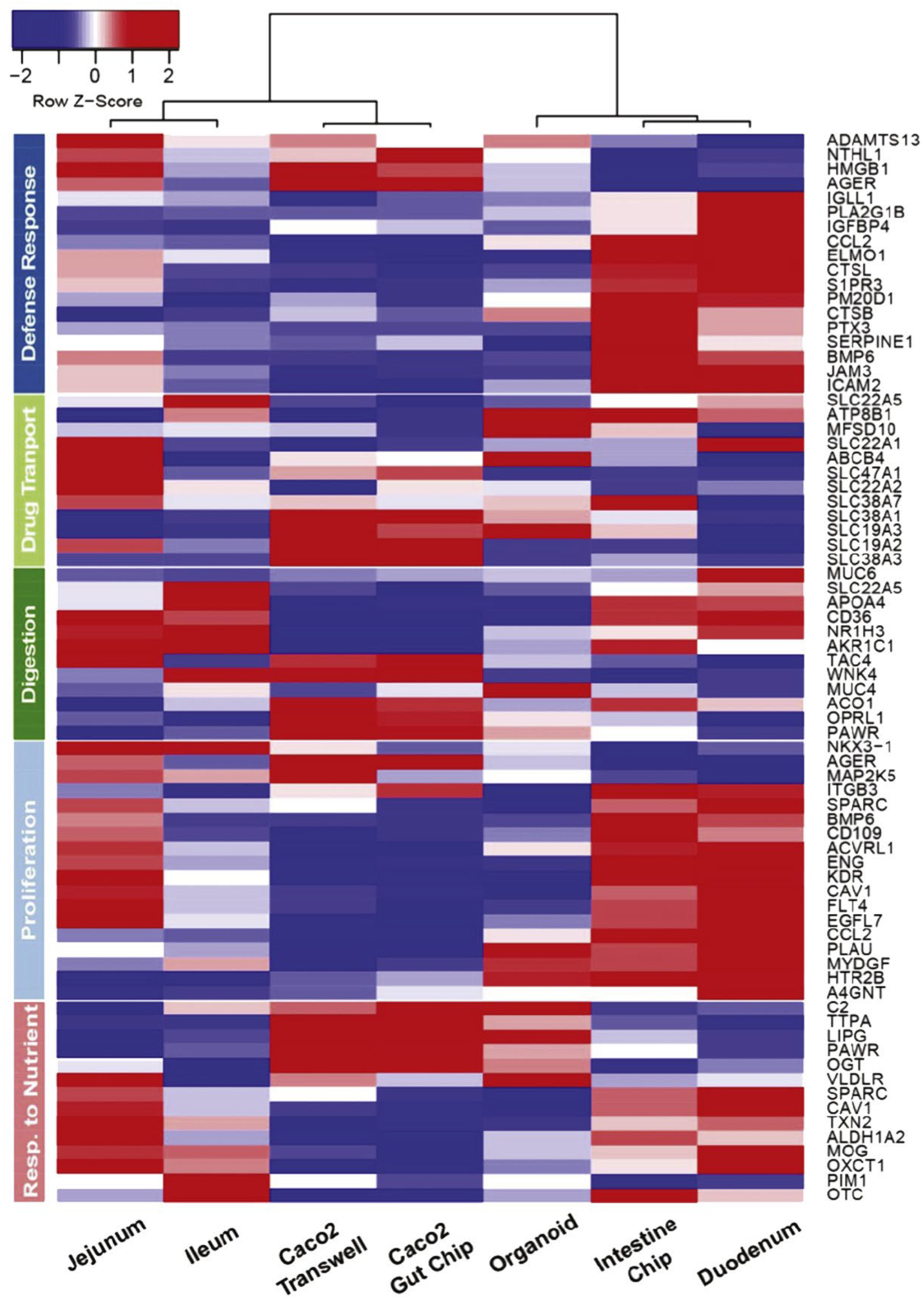 Pharmaceutics 15 02732 g002