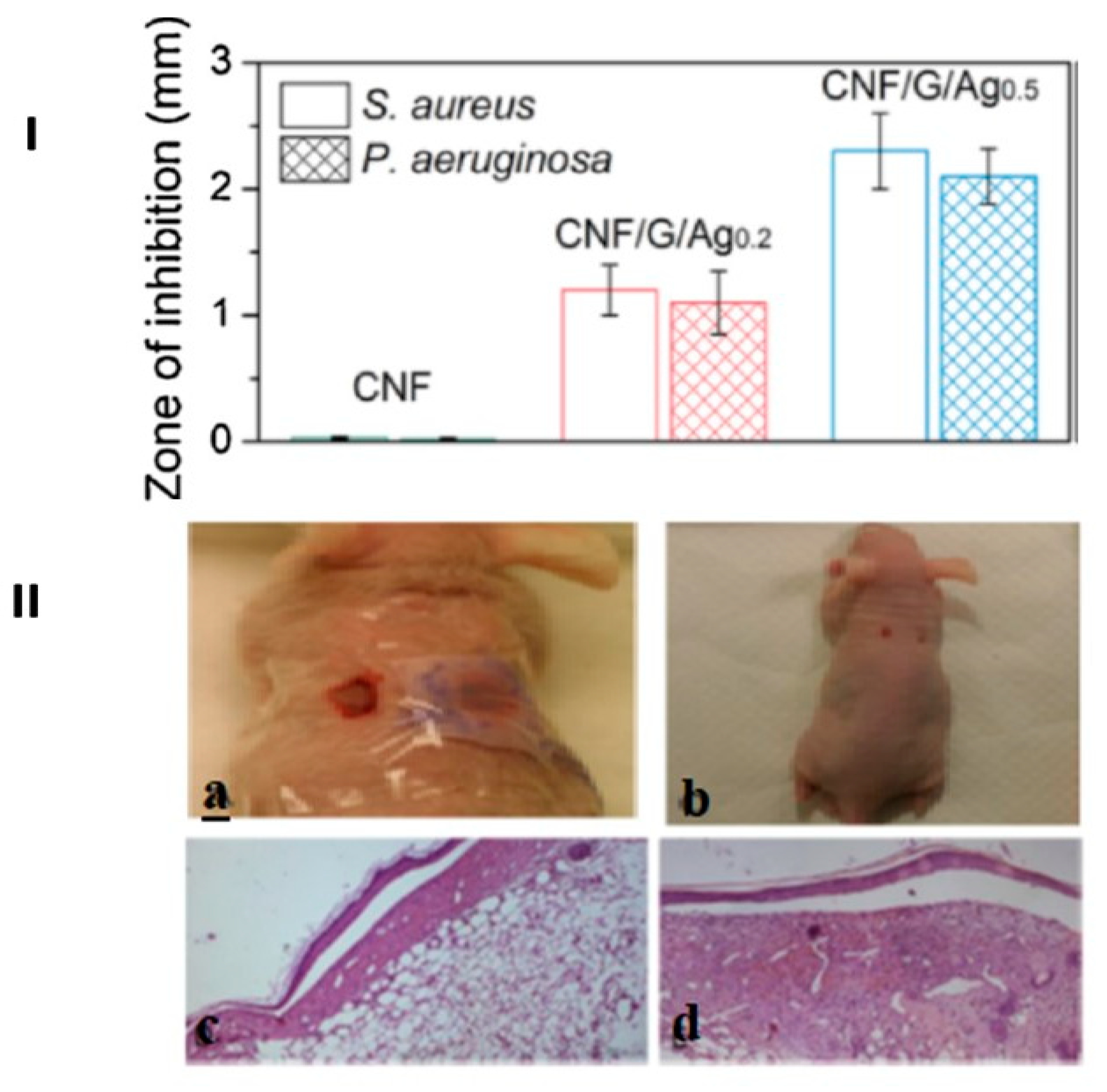Pharmaceutics 15 02738 g006
