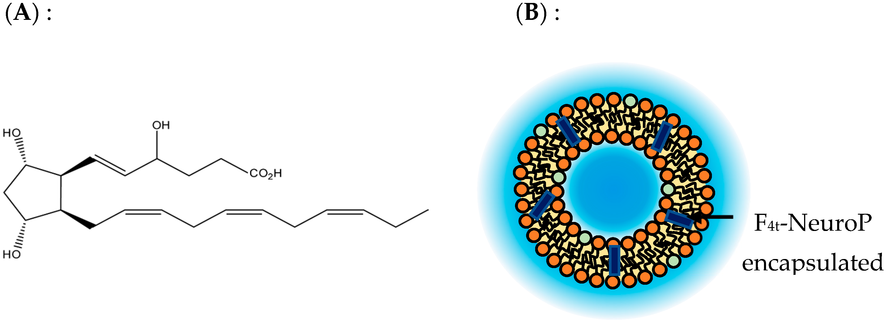 Pharmaceutics 15 02739 g006