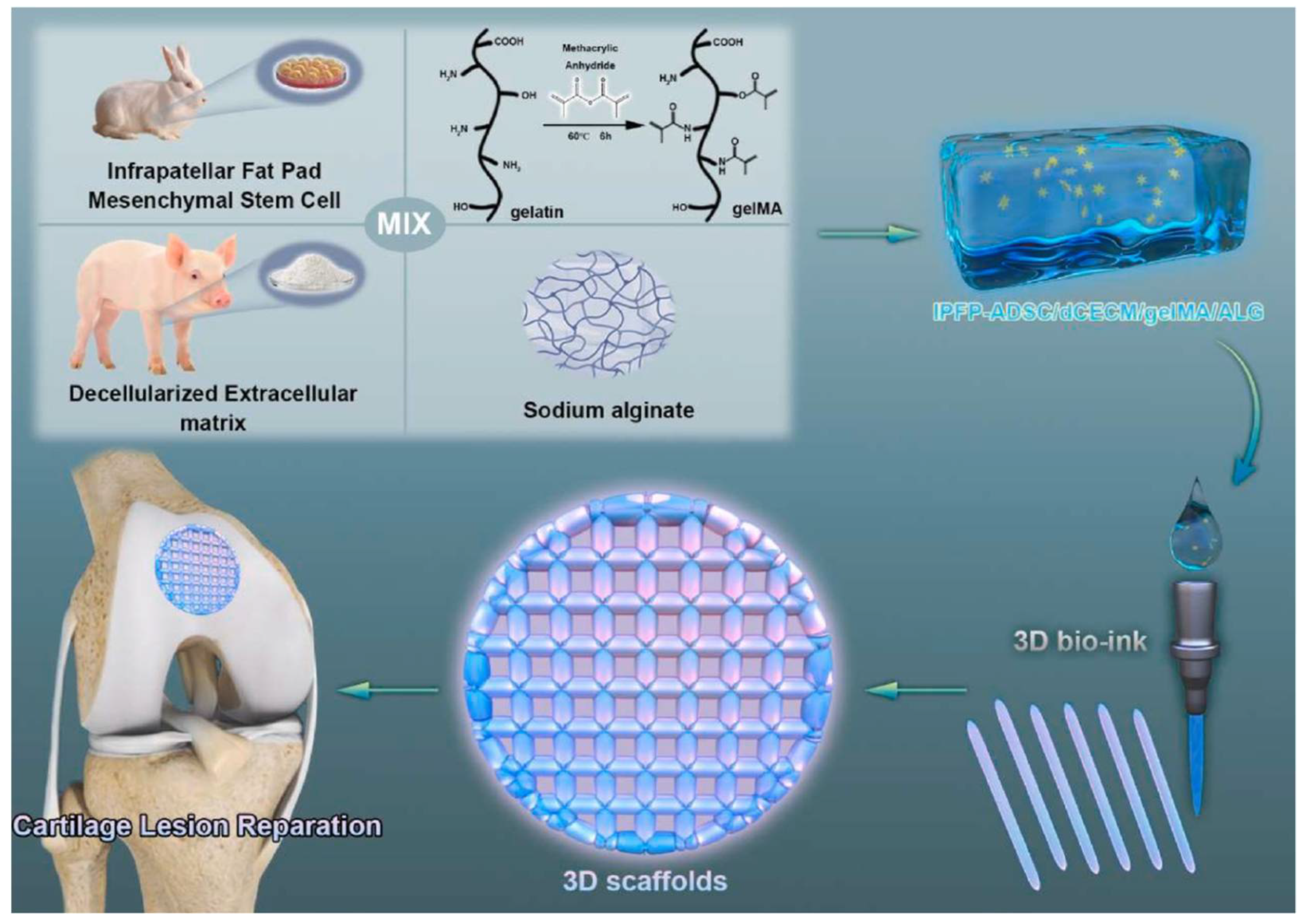 Pharmaceutics 15 02743 g003