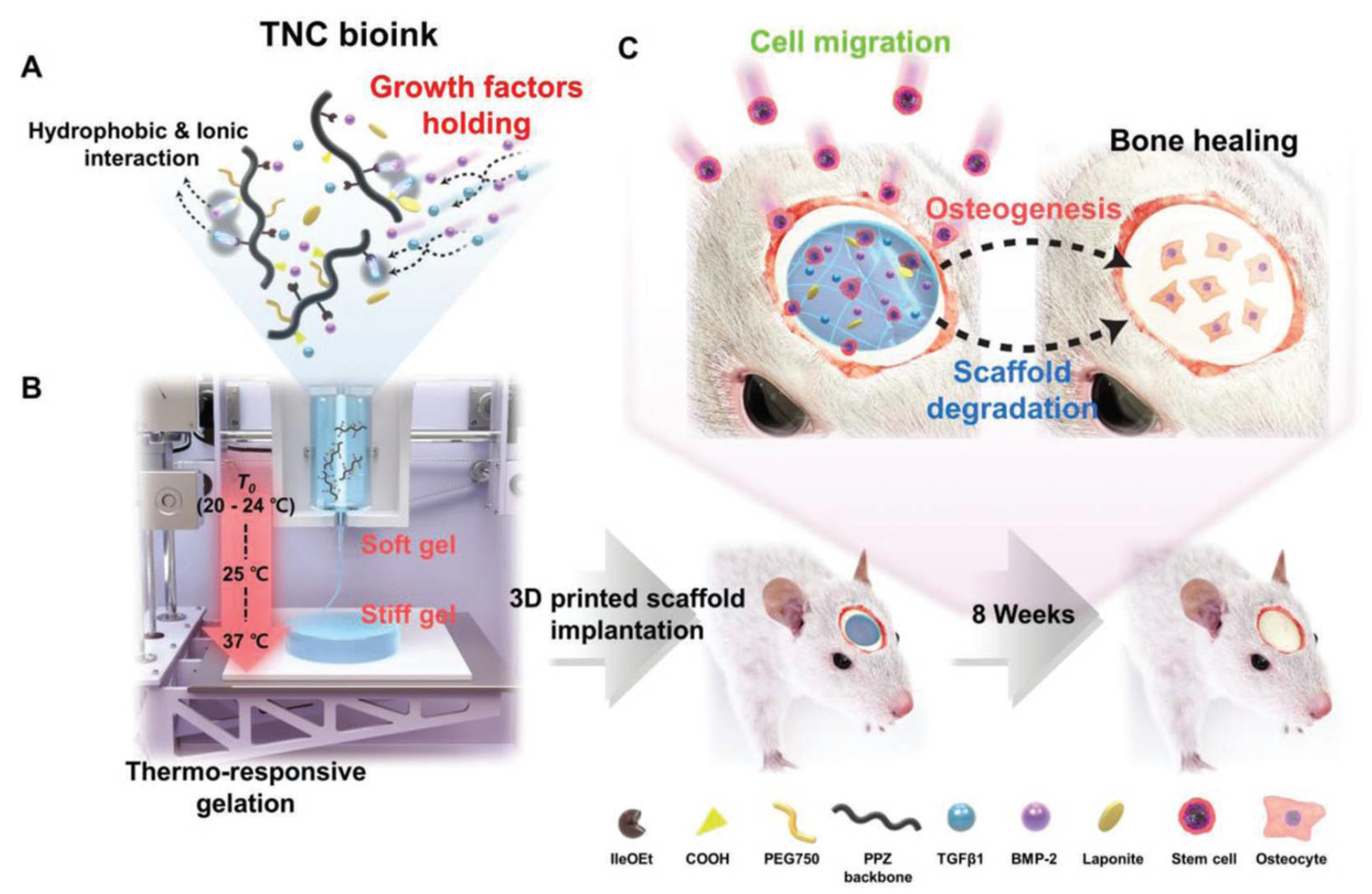 Pharmaceutics 15 02743 g004