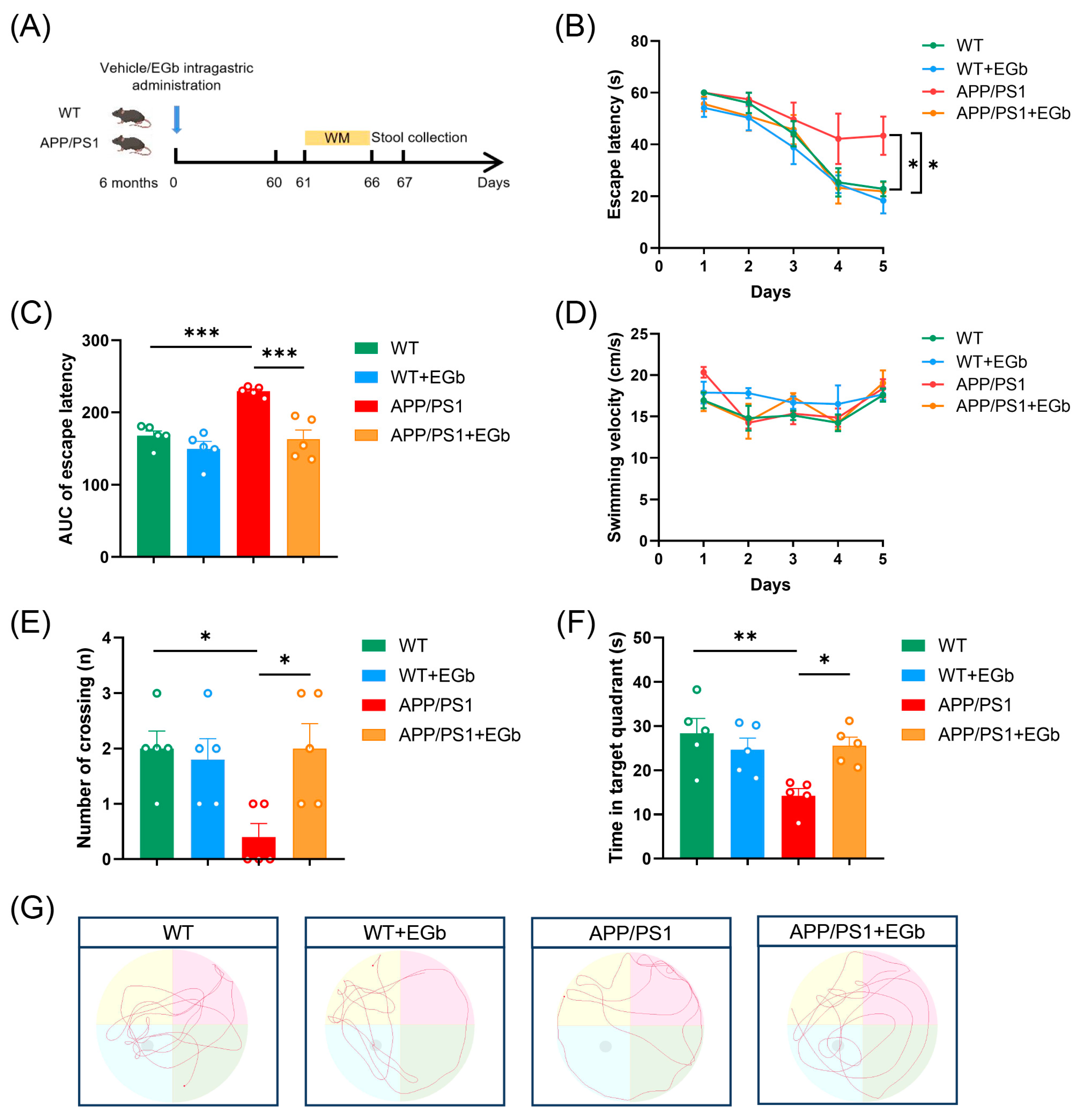 Pharmaceutics 15 02746 g001