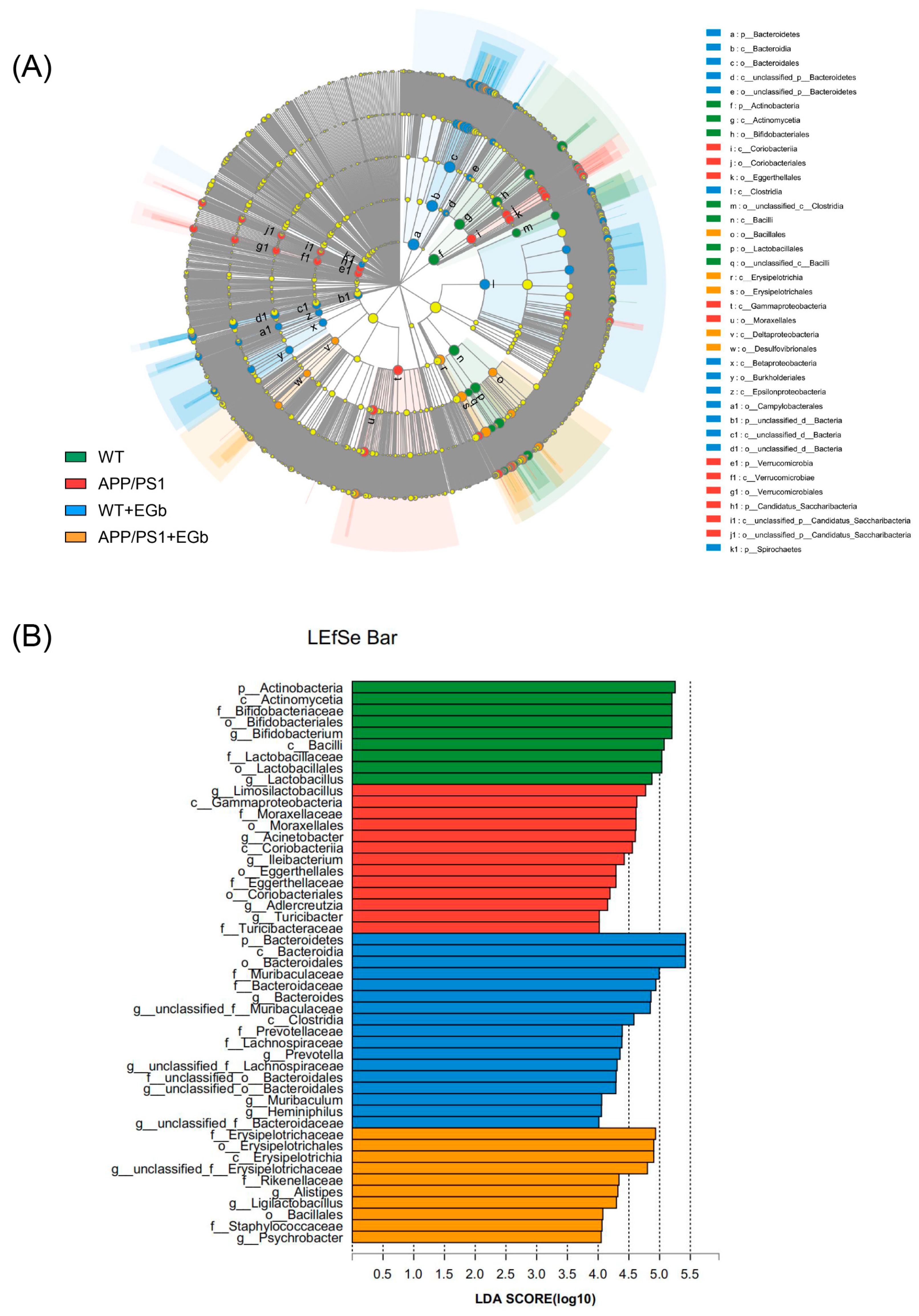 Pharmaceutics 15 02746 g003
