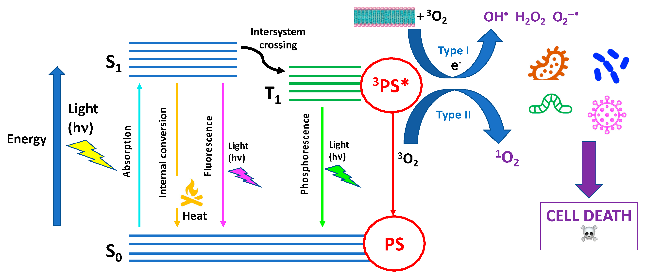 Pharmaceutics 15 02748 g001