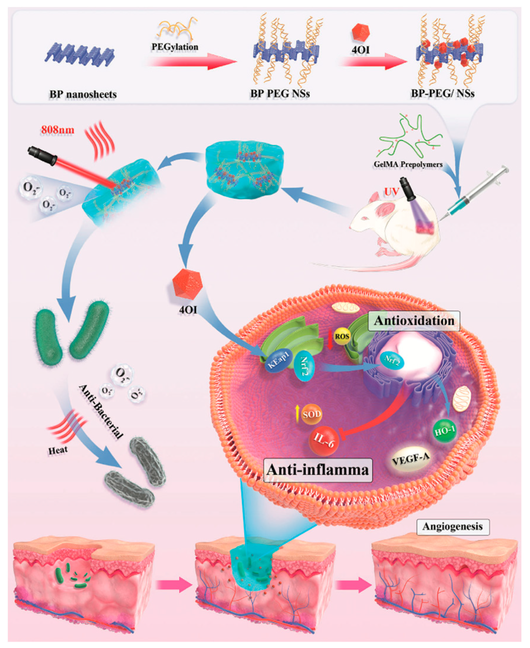 Pharmaceutics 15 02748 g004