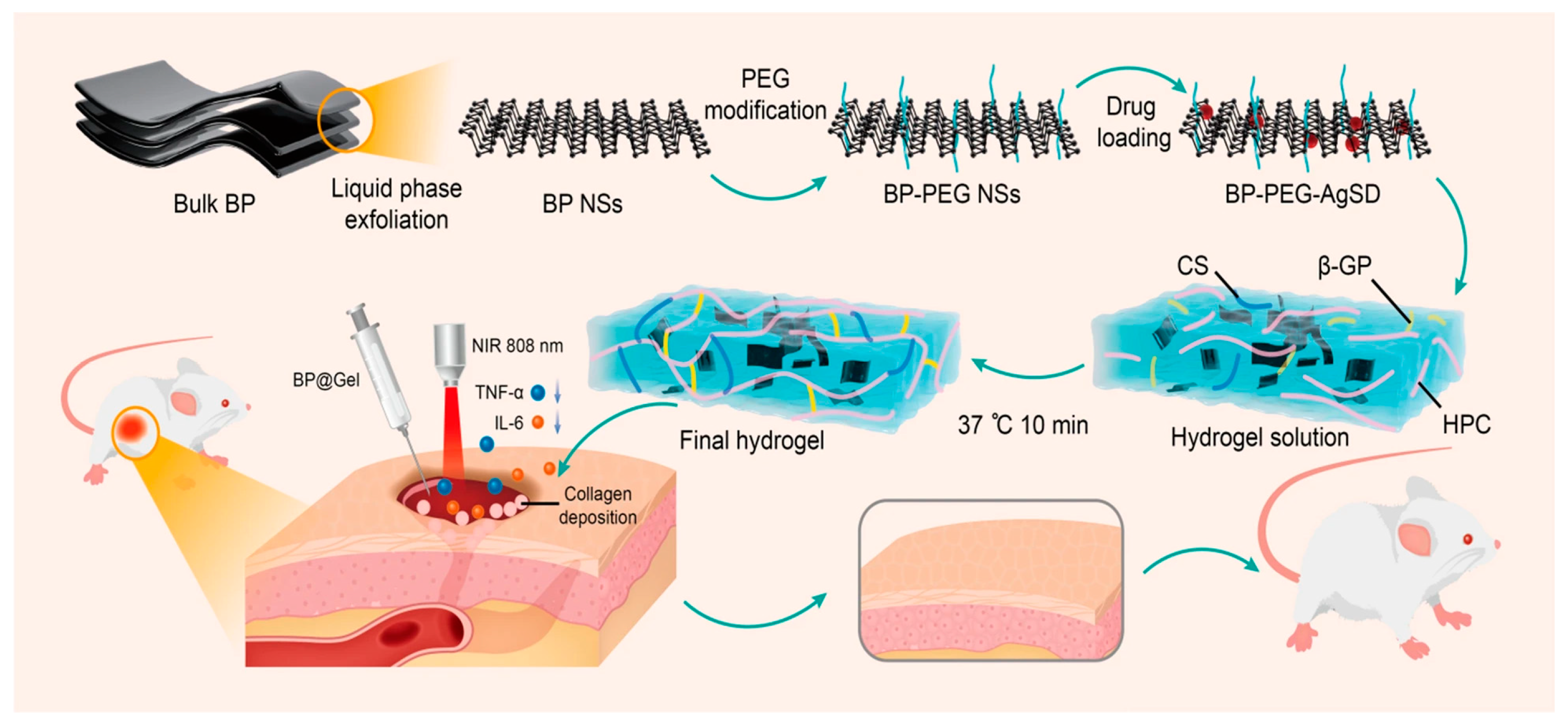 Pharmaceutics 15 02748 g005