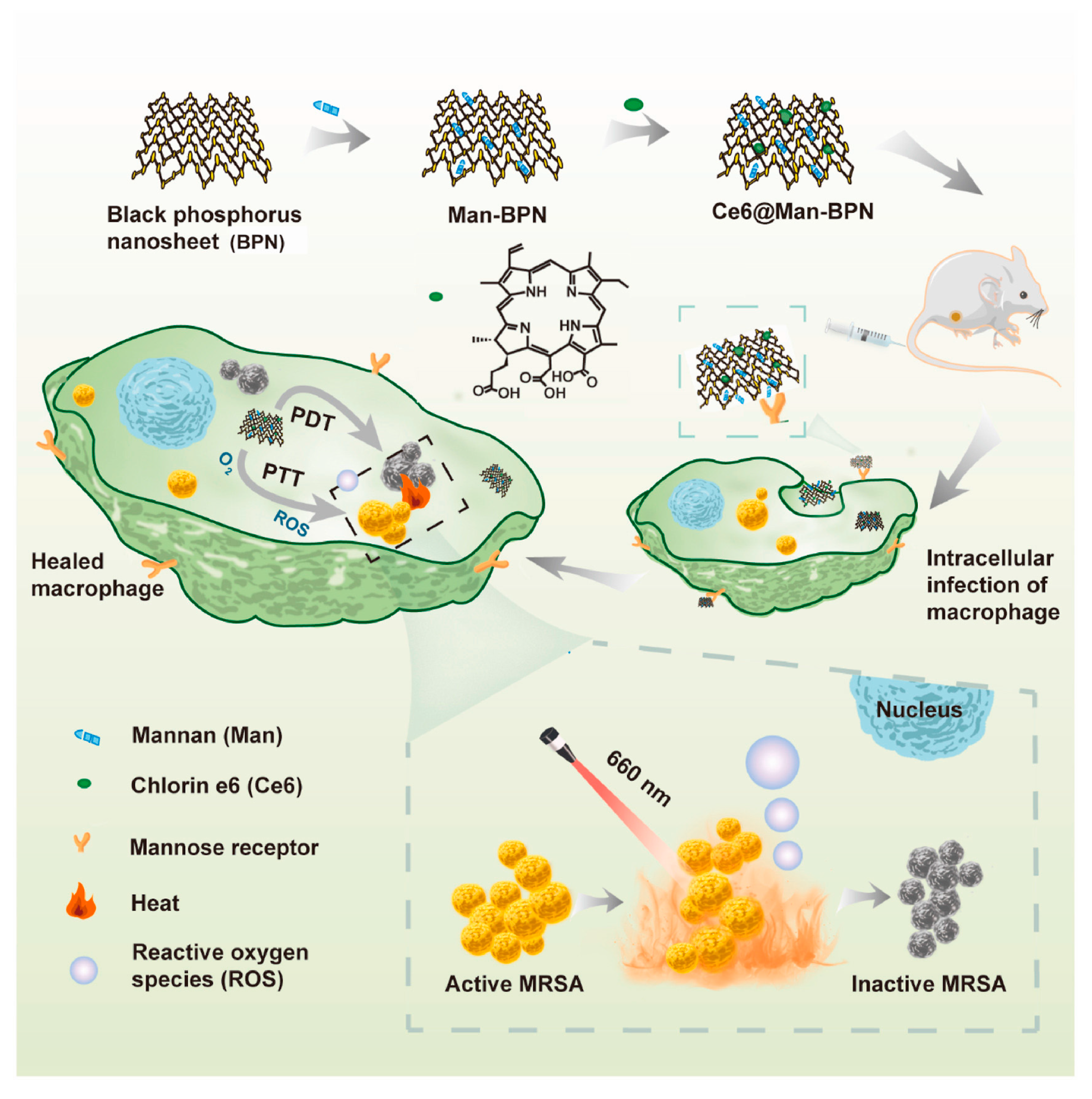 Pharmaceutics 15 02748 g007