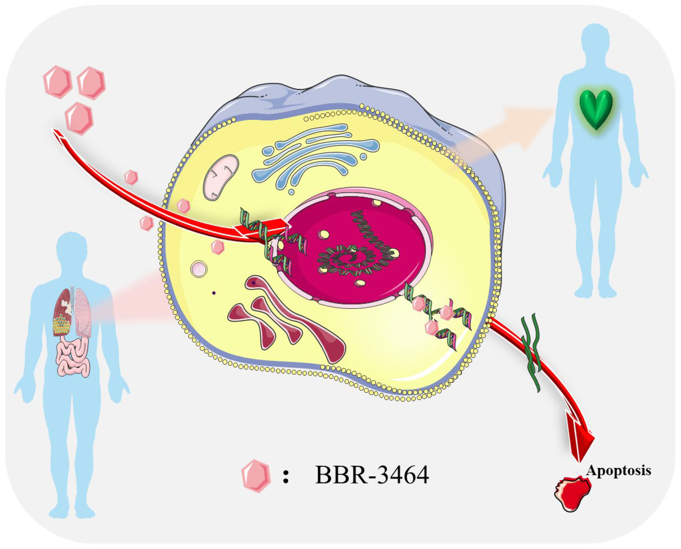 Pharmaceutics 15 02750 g001