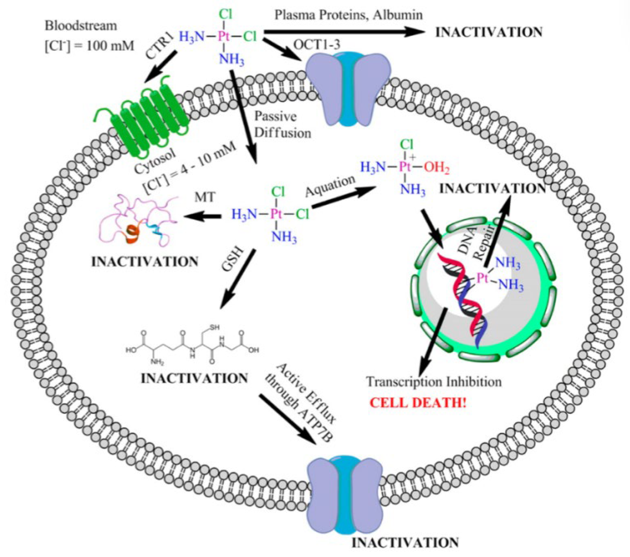 Pharmaceutics 15 02750 g004