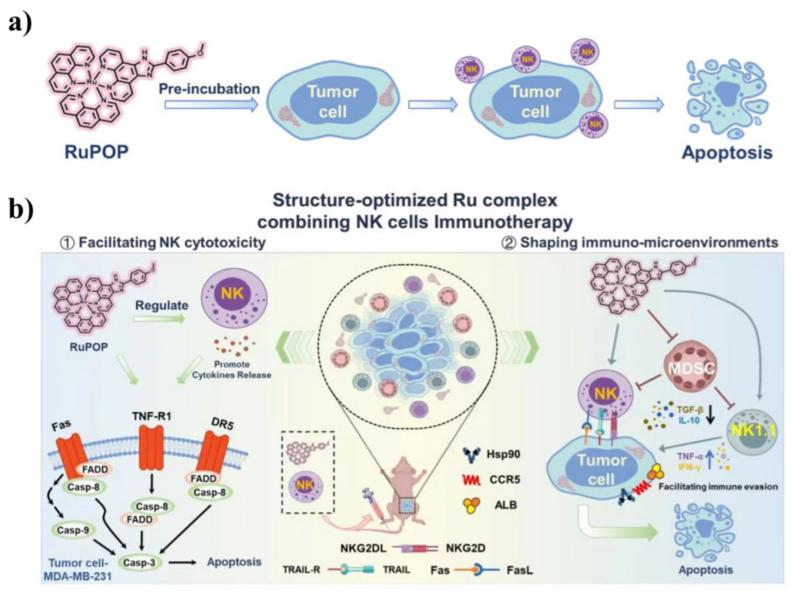 Pharmaceutics 15 02750 g012