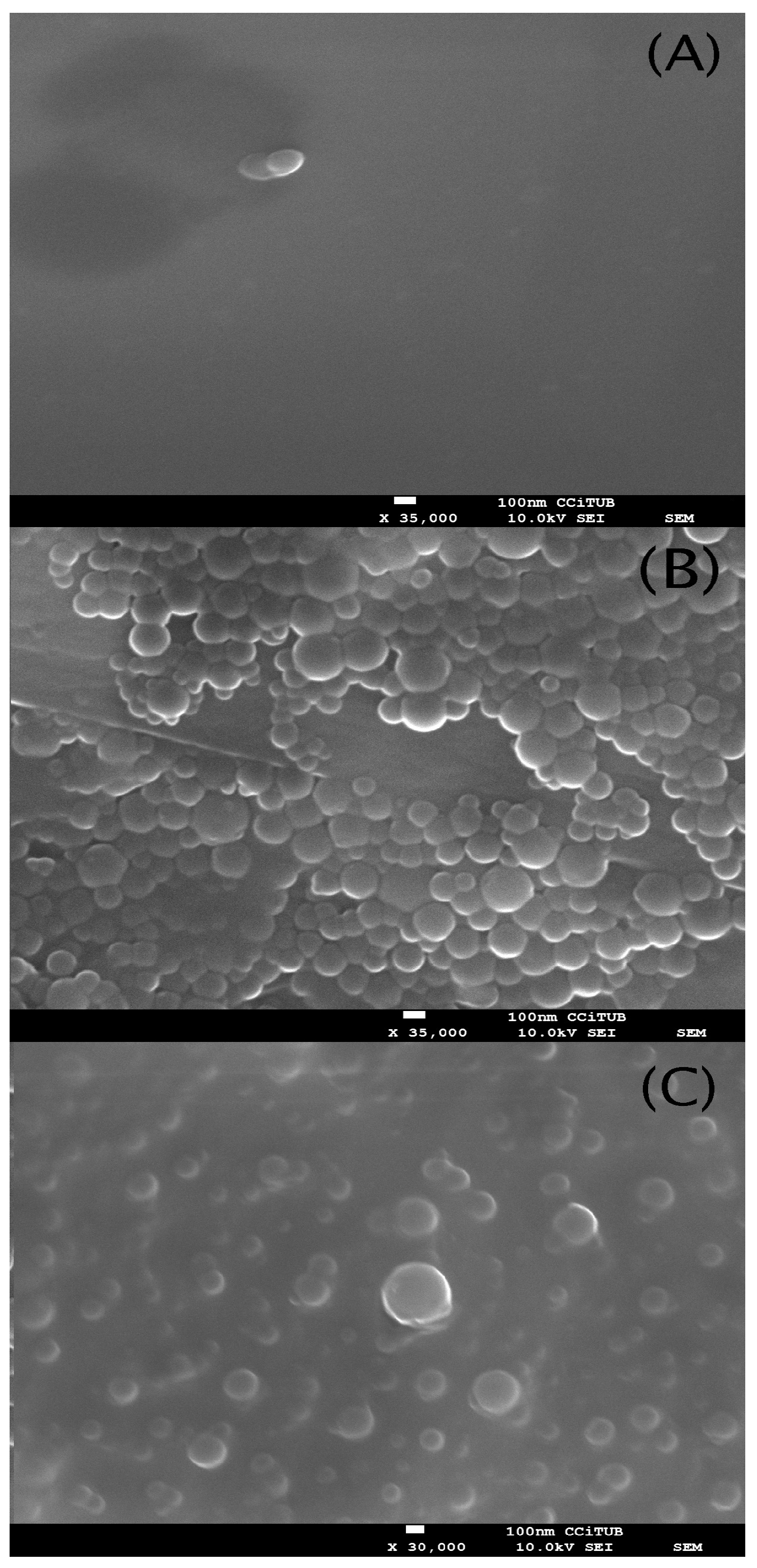 Pharmaceutics 15 02752 g003