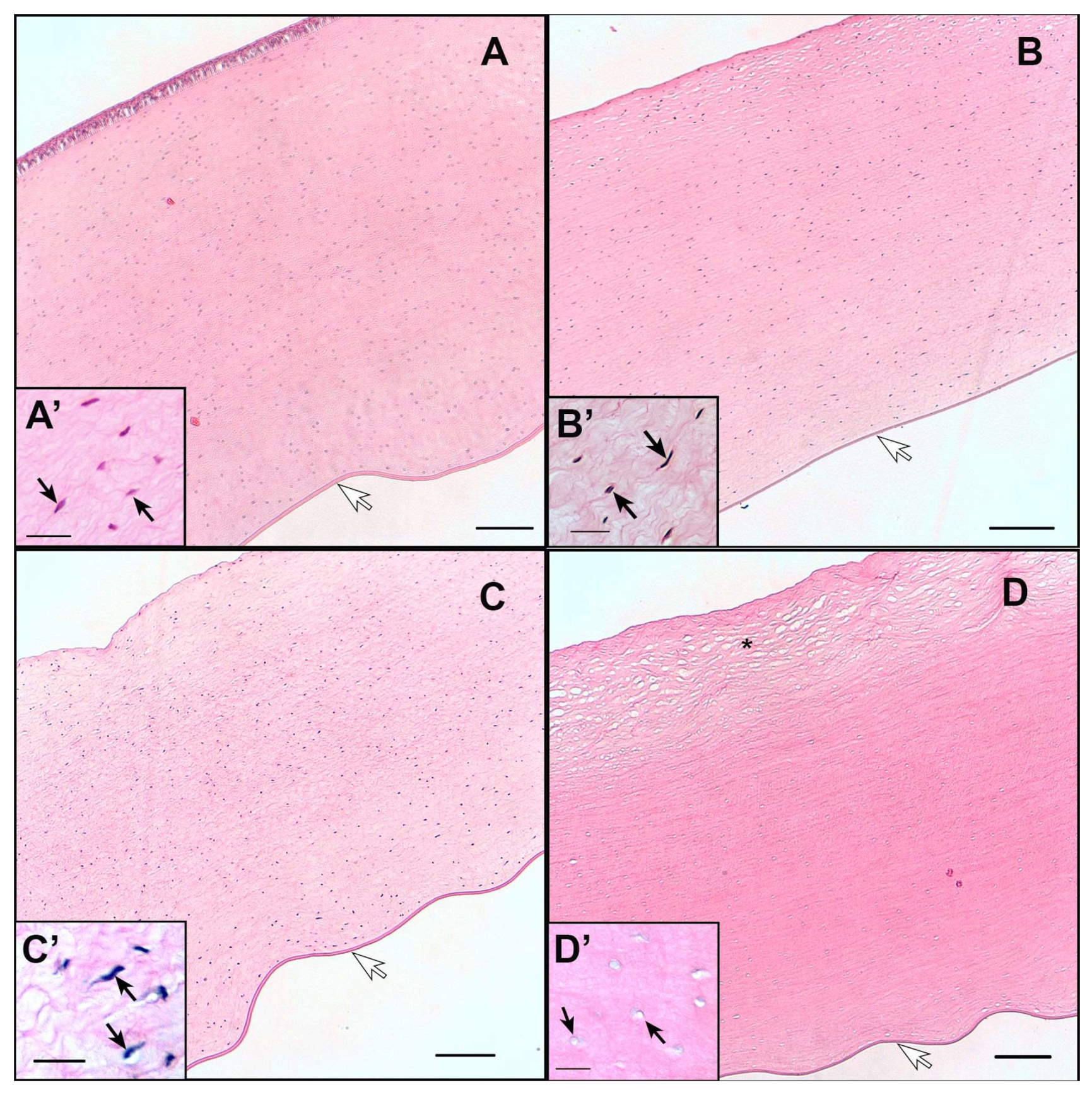 Pharmaceutics 15 02752 g008