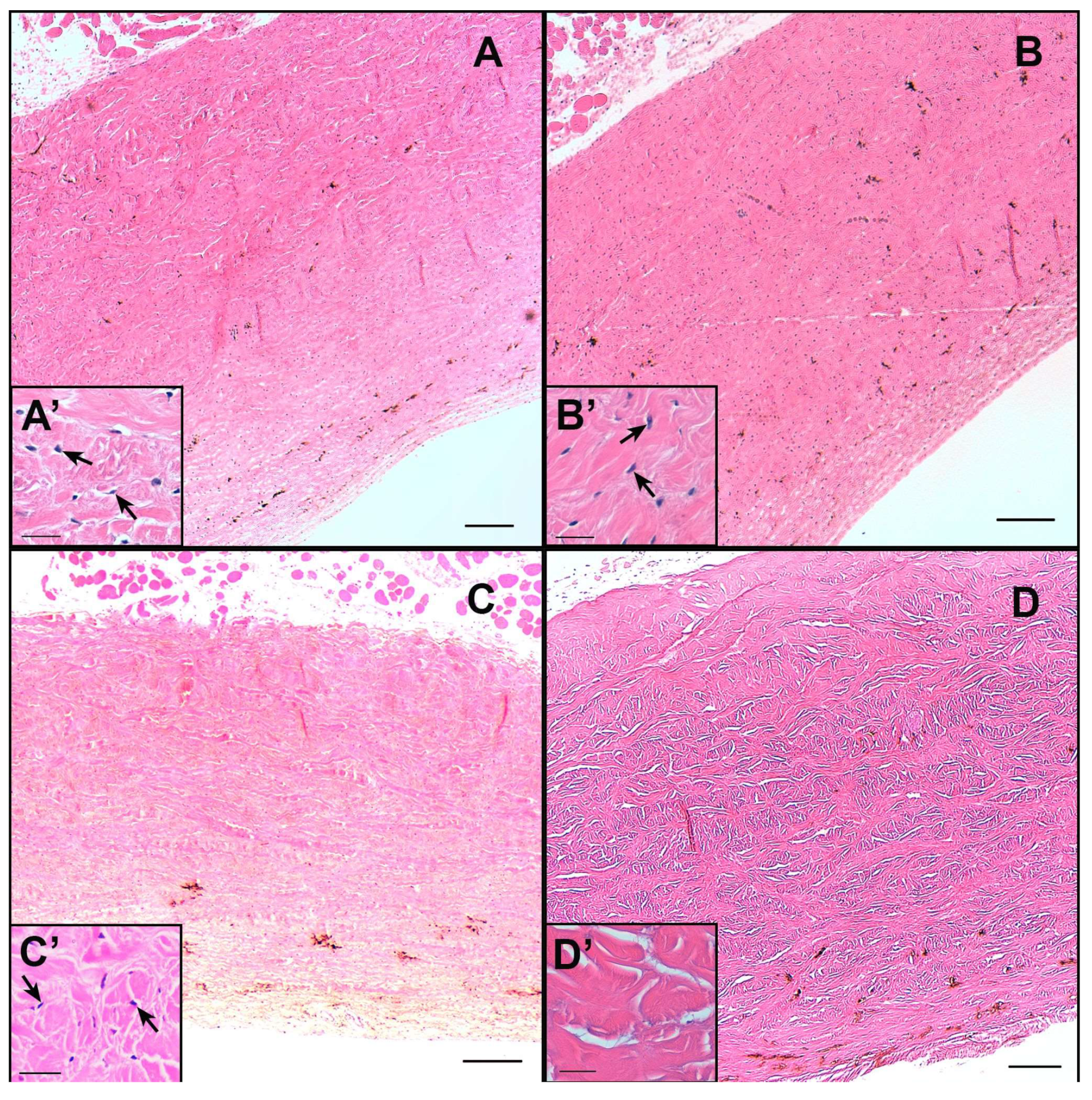 Pharmaceutics 15 02752 g009