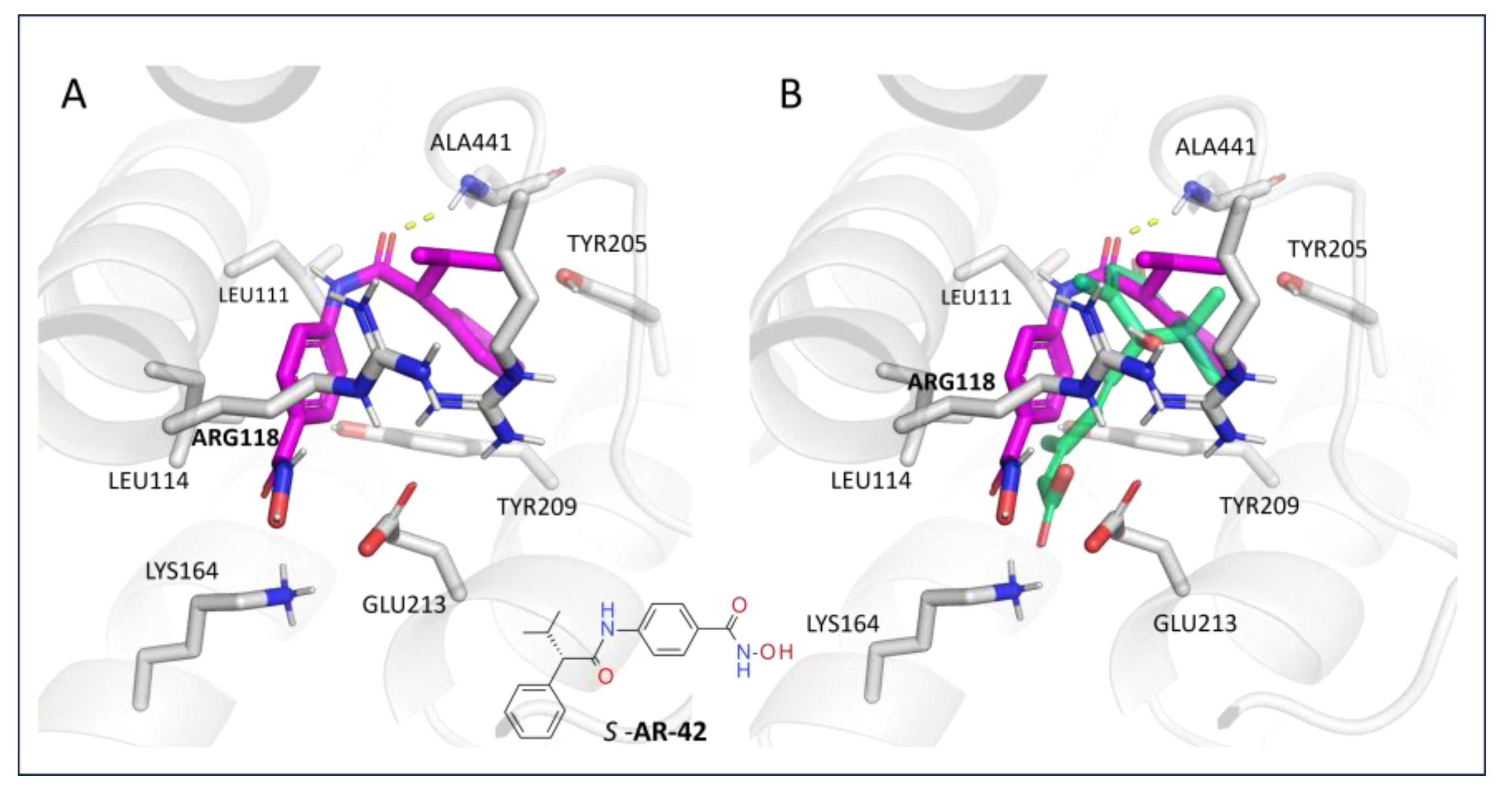 Pharmaceutics 15 02754 g013