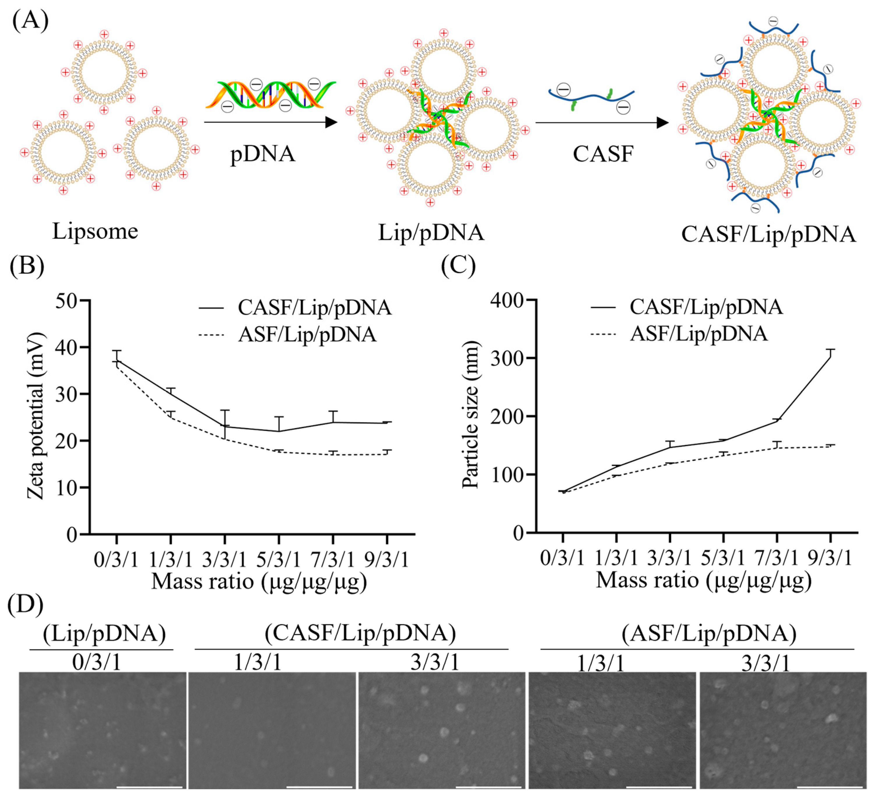 Pharmaceutics 15 02756 g002 Pharmaceutics 15 02756 g002