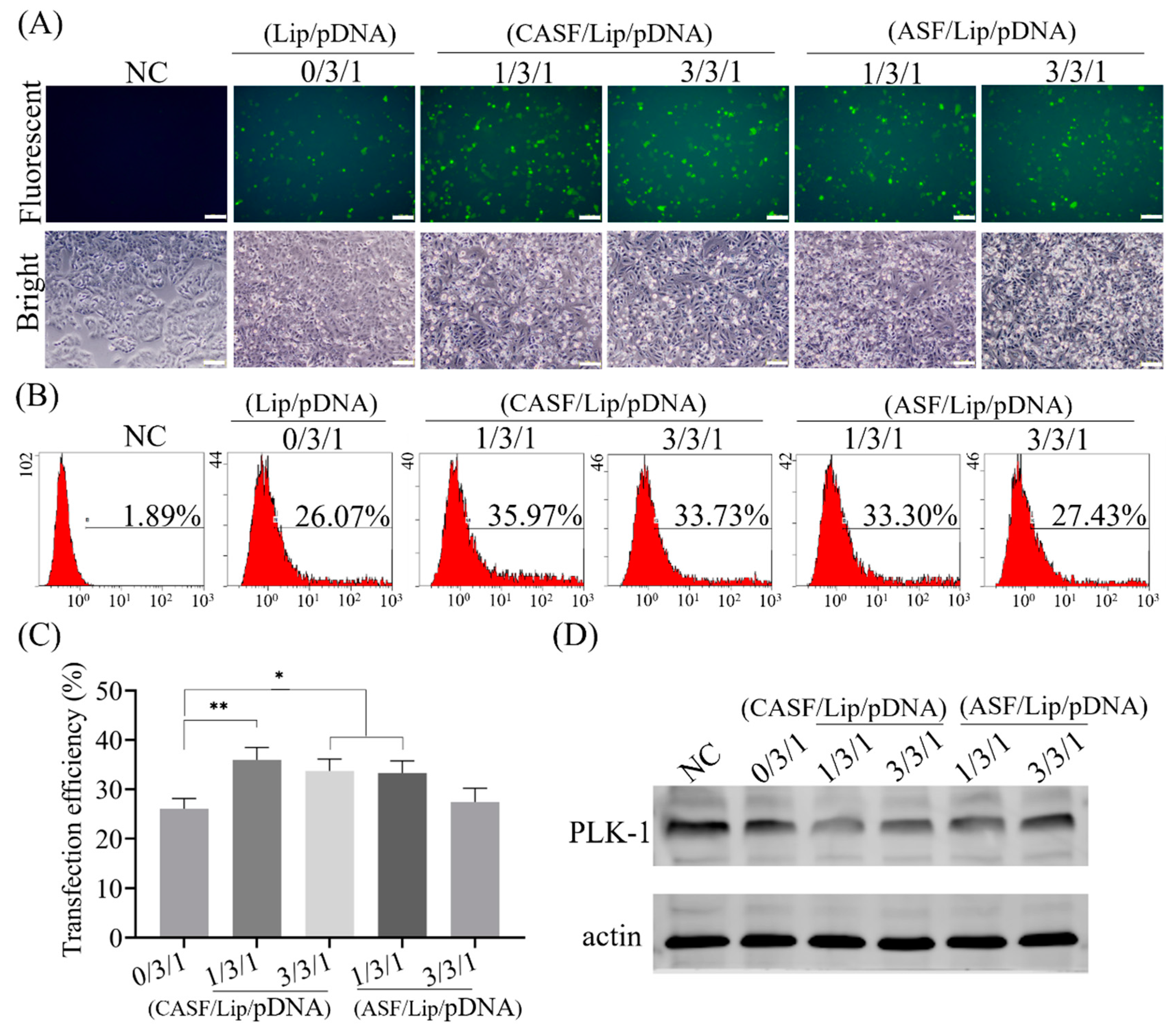 Pharmaceutics 15 02756 g003 Pharmaceutics 15 02756 g003