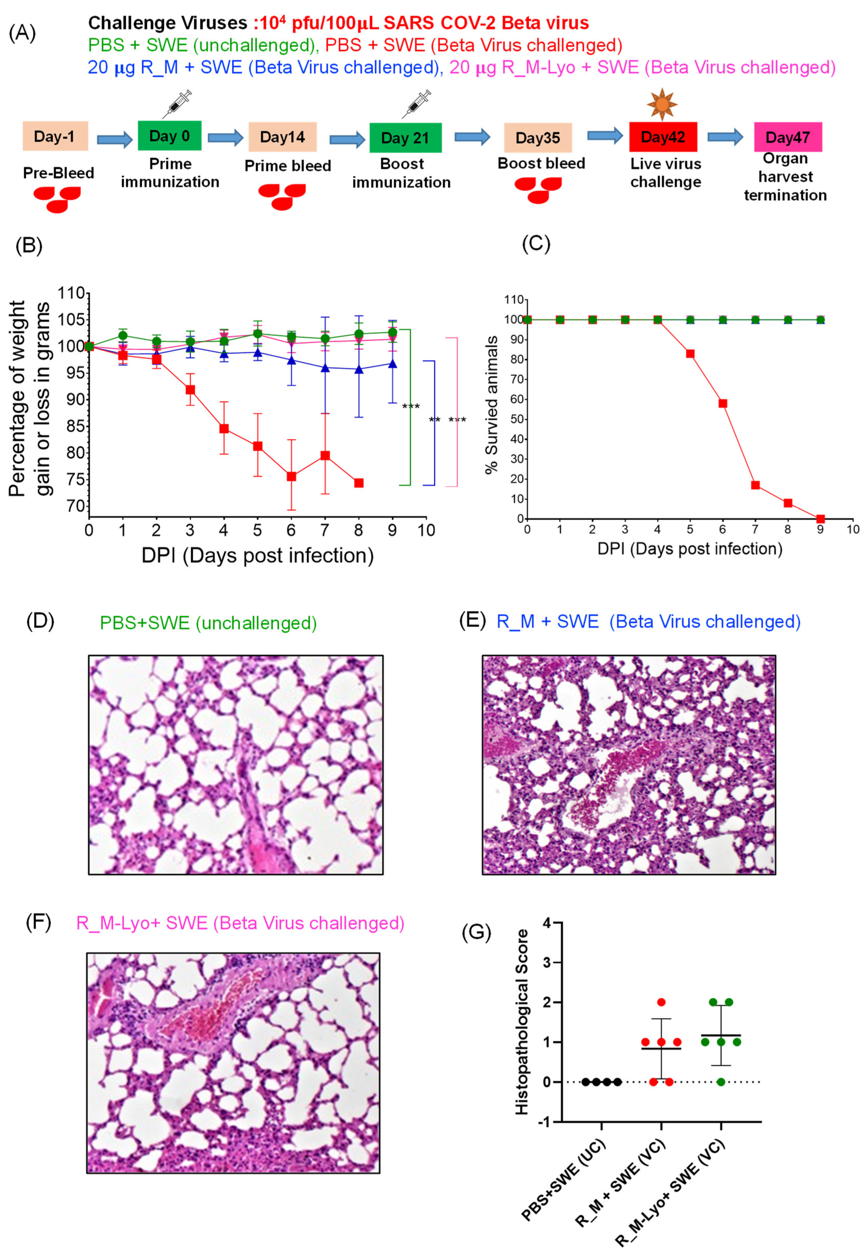 Pharmaceutics 15 02759 g004