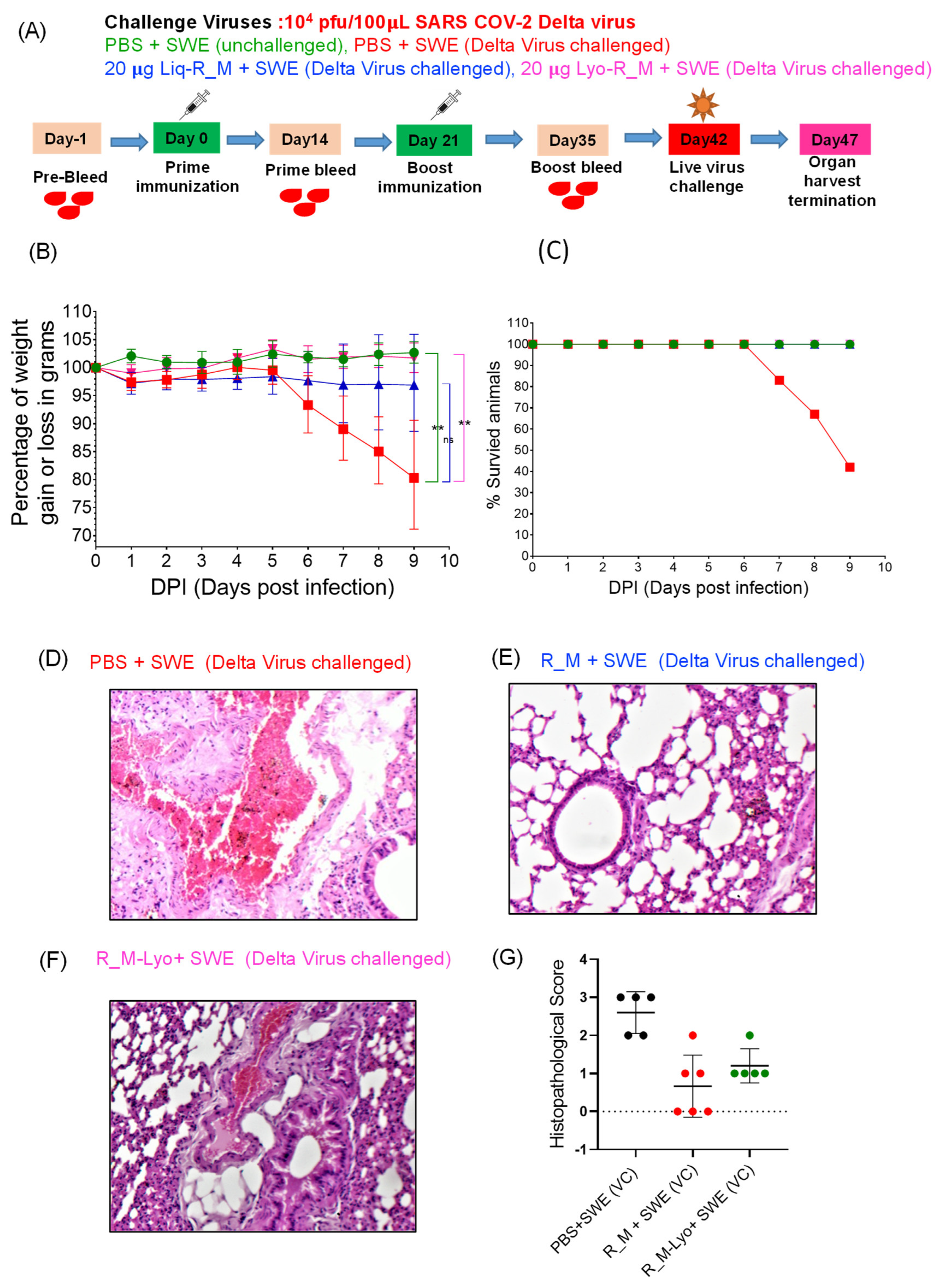 Pharmaceutics 15 02759 g005